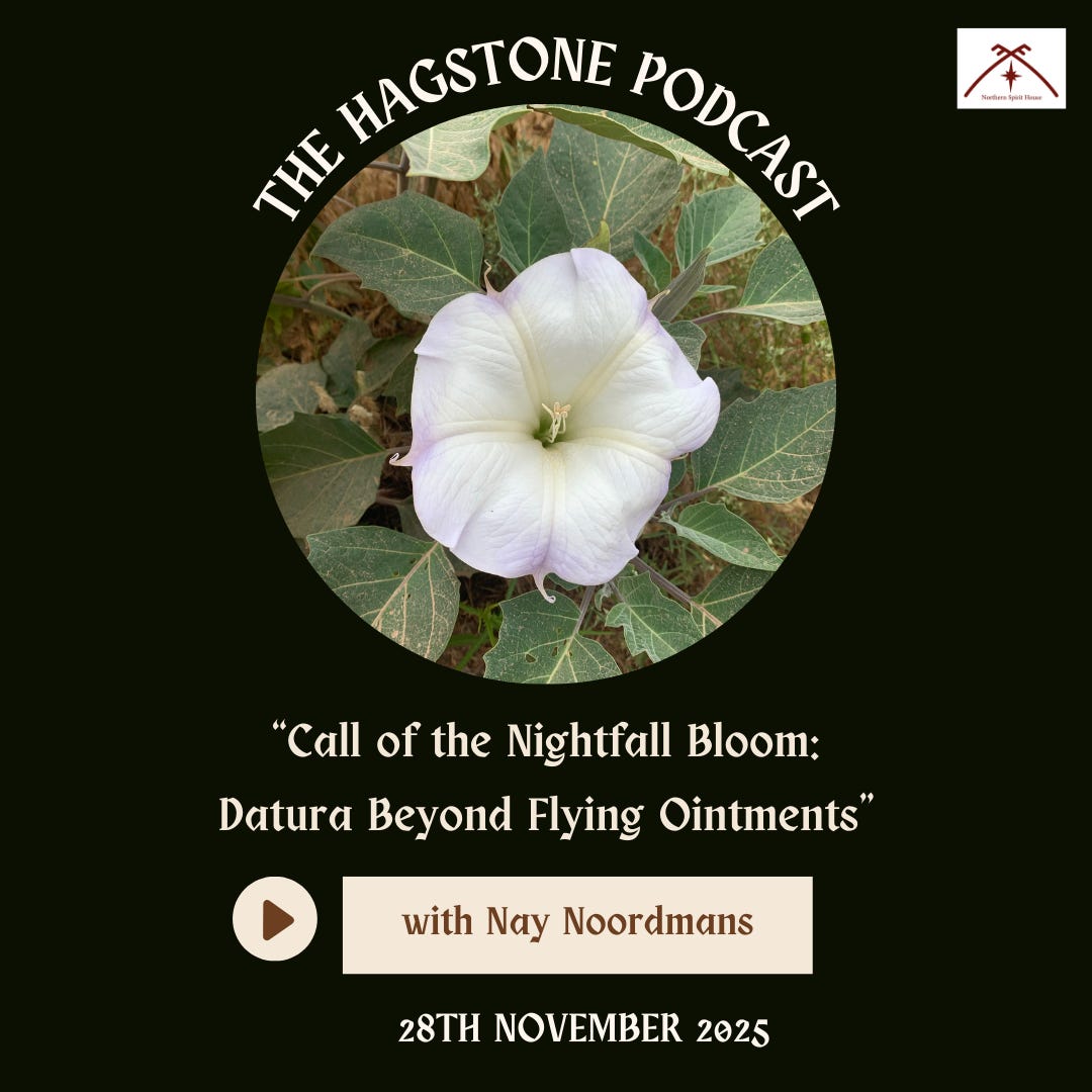 Call of the Nightfall Bloom: Datura Beyond Flying Ointments with Nay Noordmans Call of the Nightfall Bloom: Datura Beyond Flying Ointments with Nay Noordmans