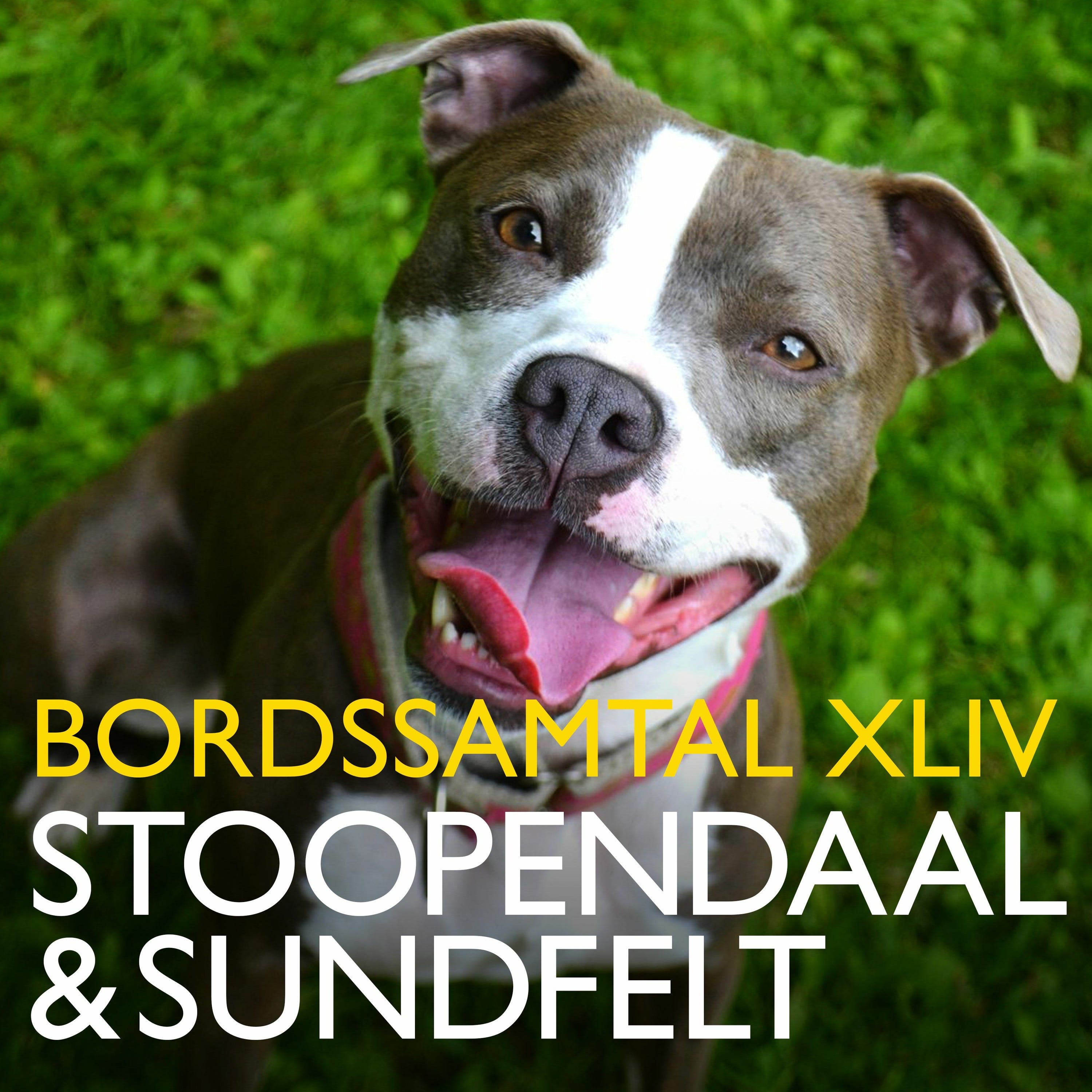 BORDSSAMTAL XLIV