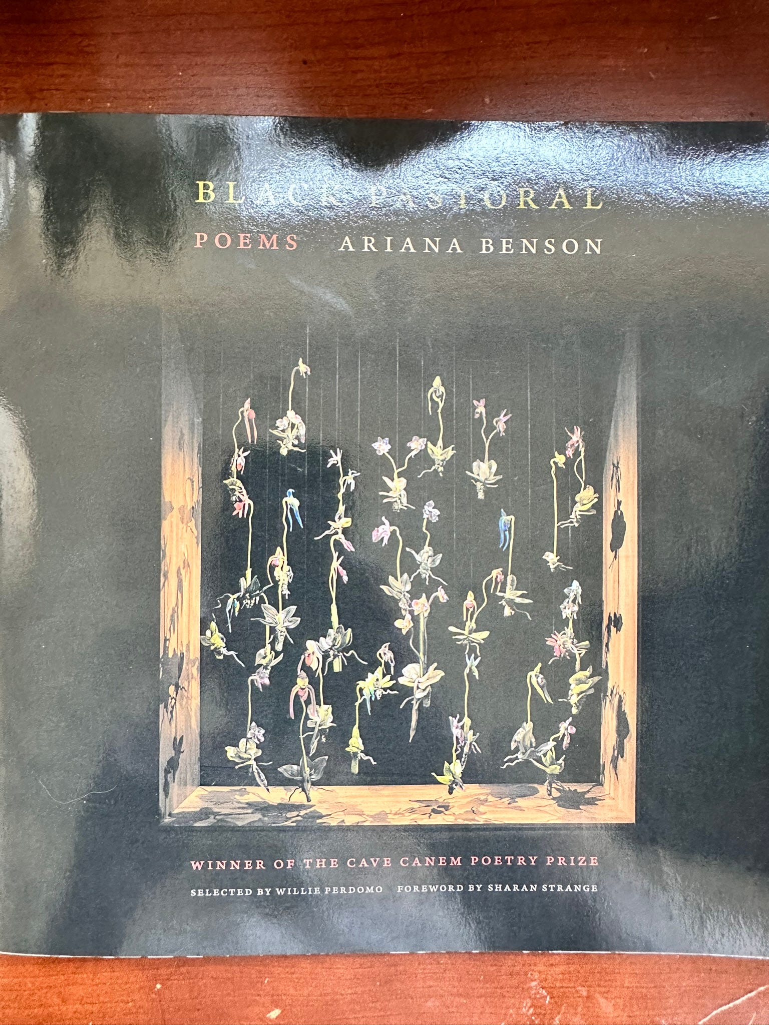 Riantly - Poetry Readings