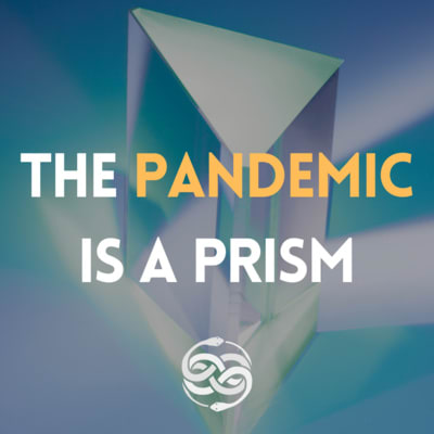 New Series: The Pandemic Is A Prism