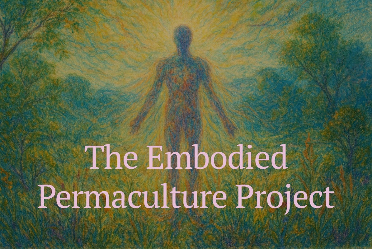 Embodied Permaculture Project EP.3 Embodied Permaculture Project EP.3