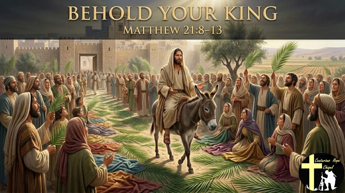Behold Your King | Matthew 21 episode artwork