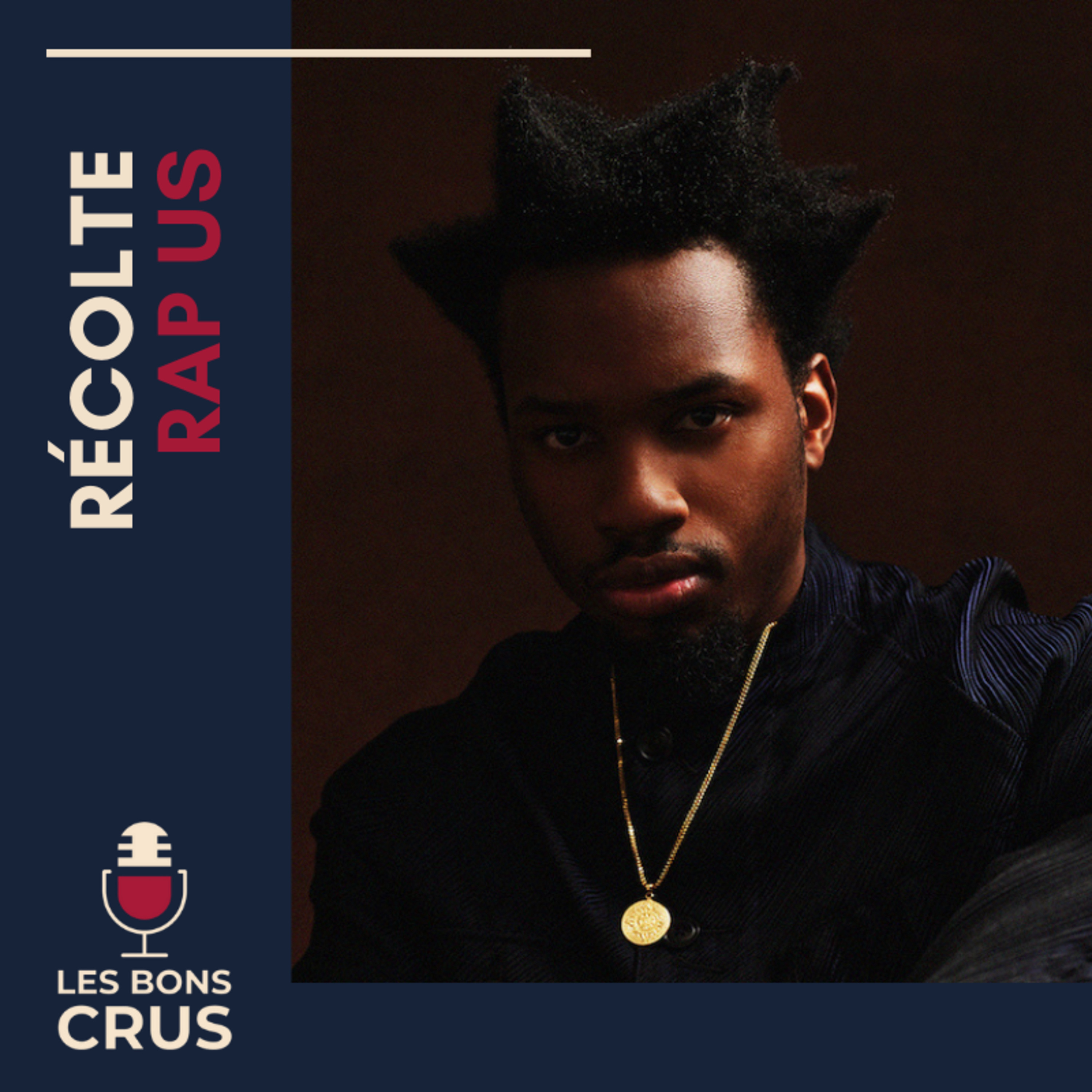 Récolte Rap US (Denzel Curry, Lord Apex, Vince Staples, Larry June, Big KRIT...)