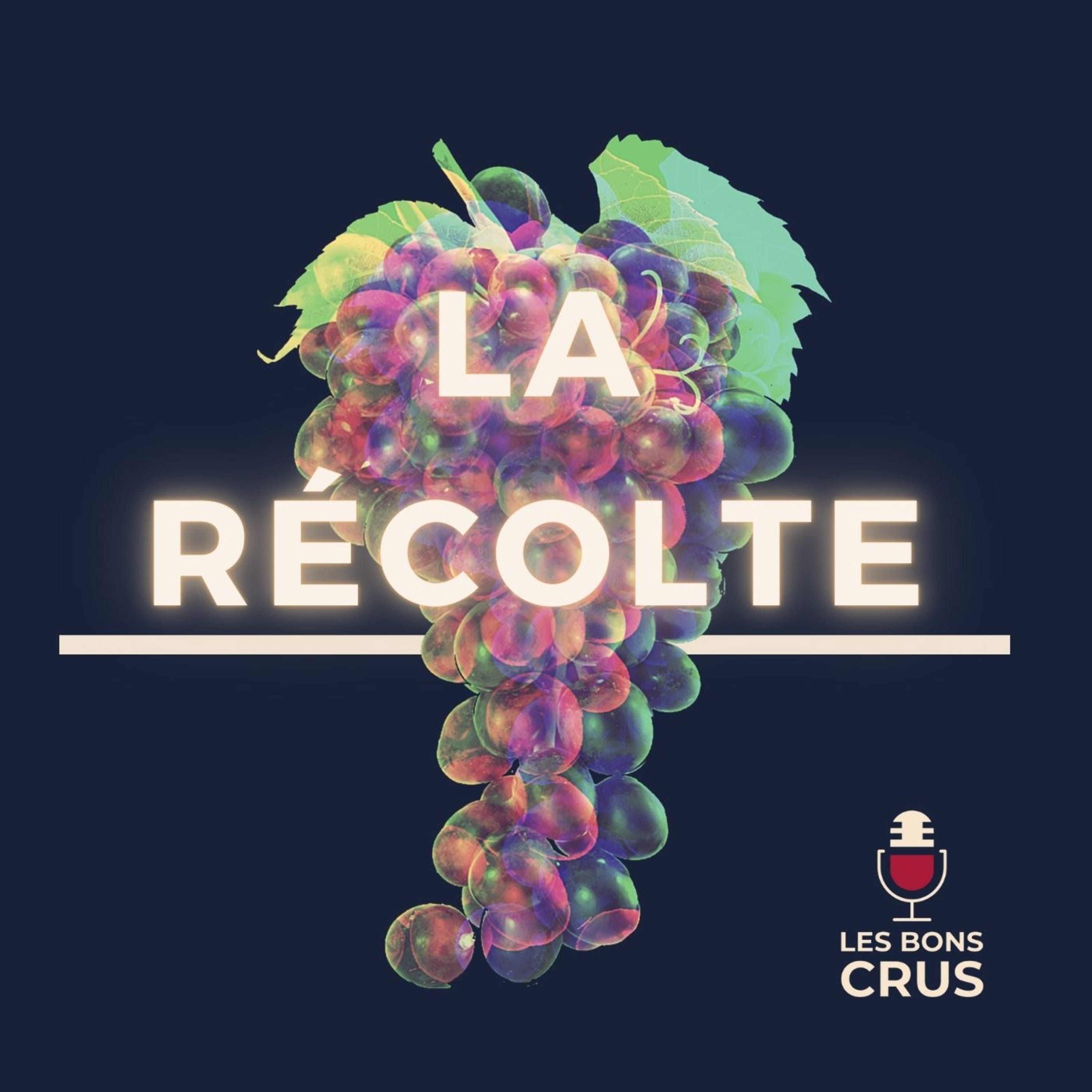 La Récolte (Slowthai, Masego, Lala &ce, Benjamin Epps, Tedax Max)