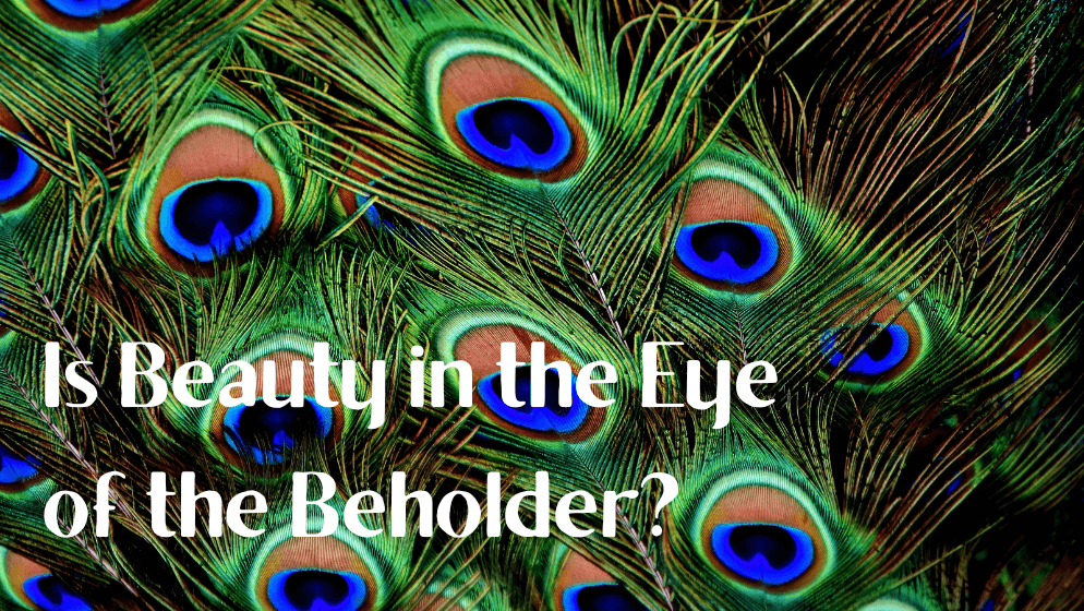 Interview 23: Is Beauty in the Eye of the Beholder? - Scott Aniol episode artwork