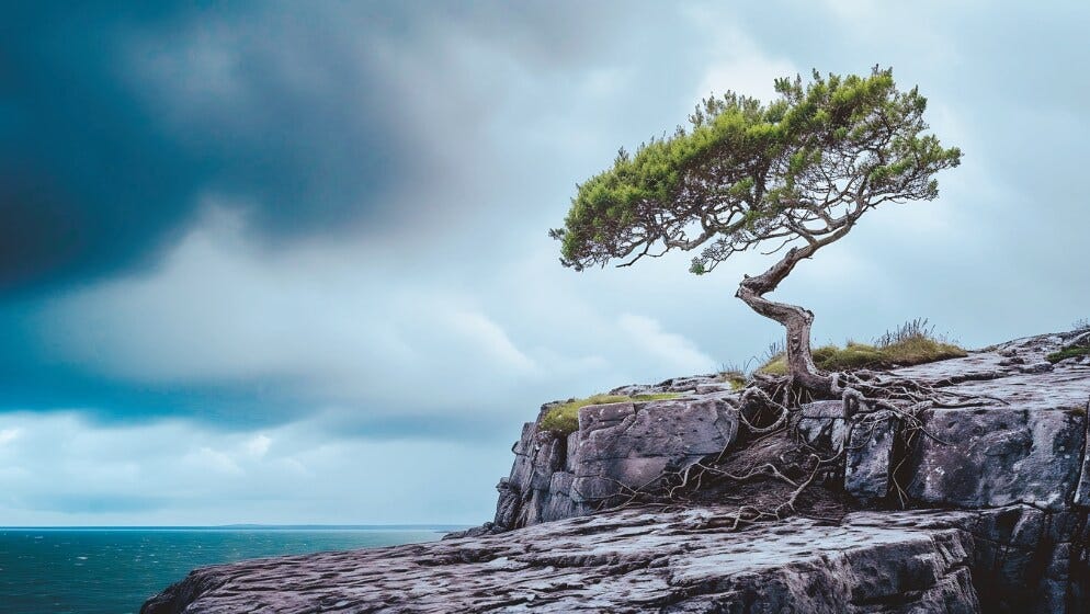 Interview 100: Fostering Resilience in Young Adults