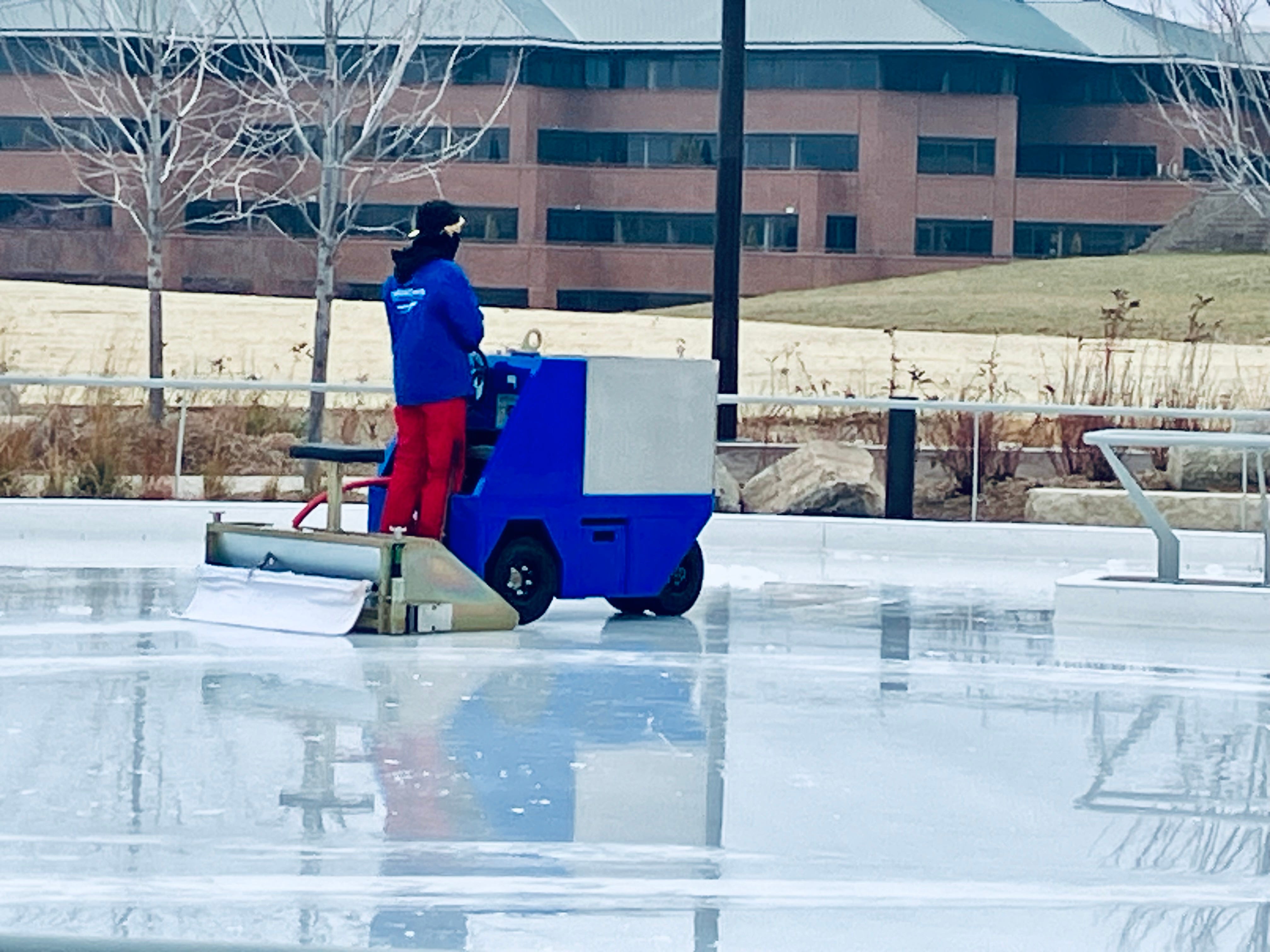 NE's New Laws: No Fake Meat, Yes MMA...on Ice?!