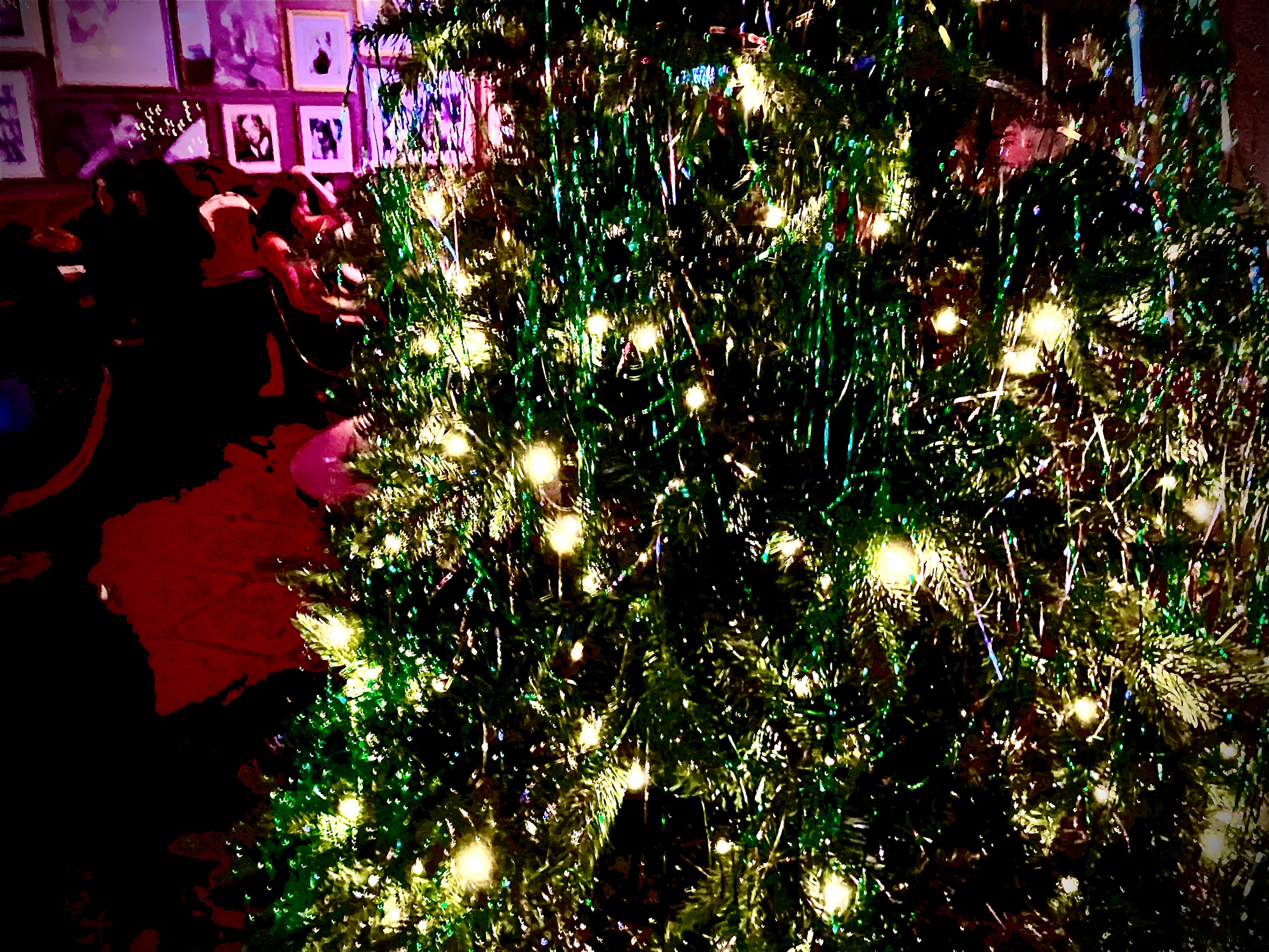 Holiday Markets: Choose Your Own Advent-ure Guide 2025