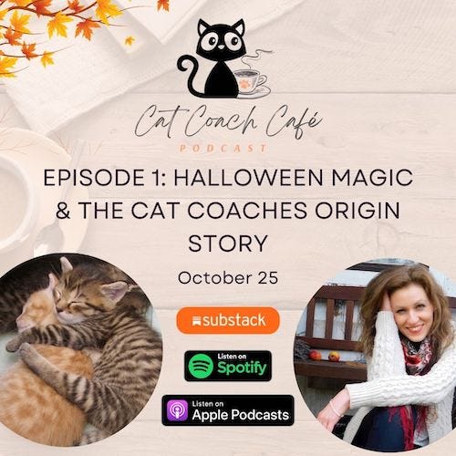 Cat Coach Café