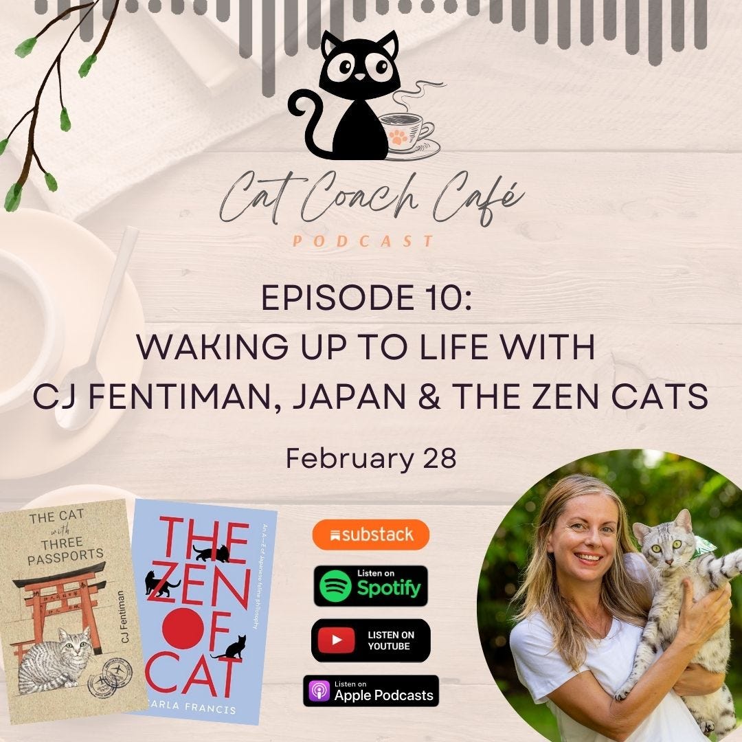 Cat Coach Café