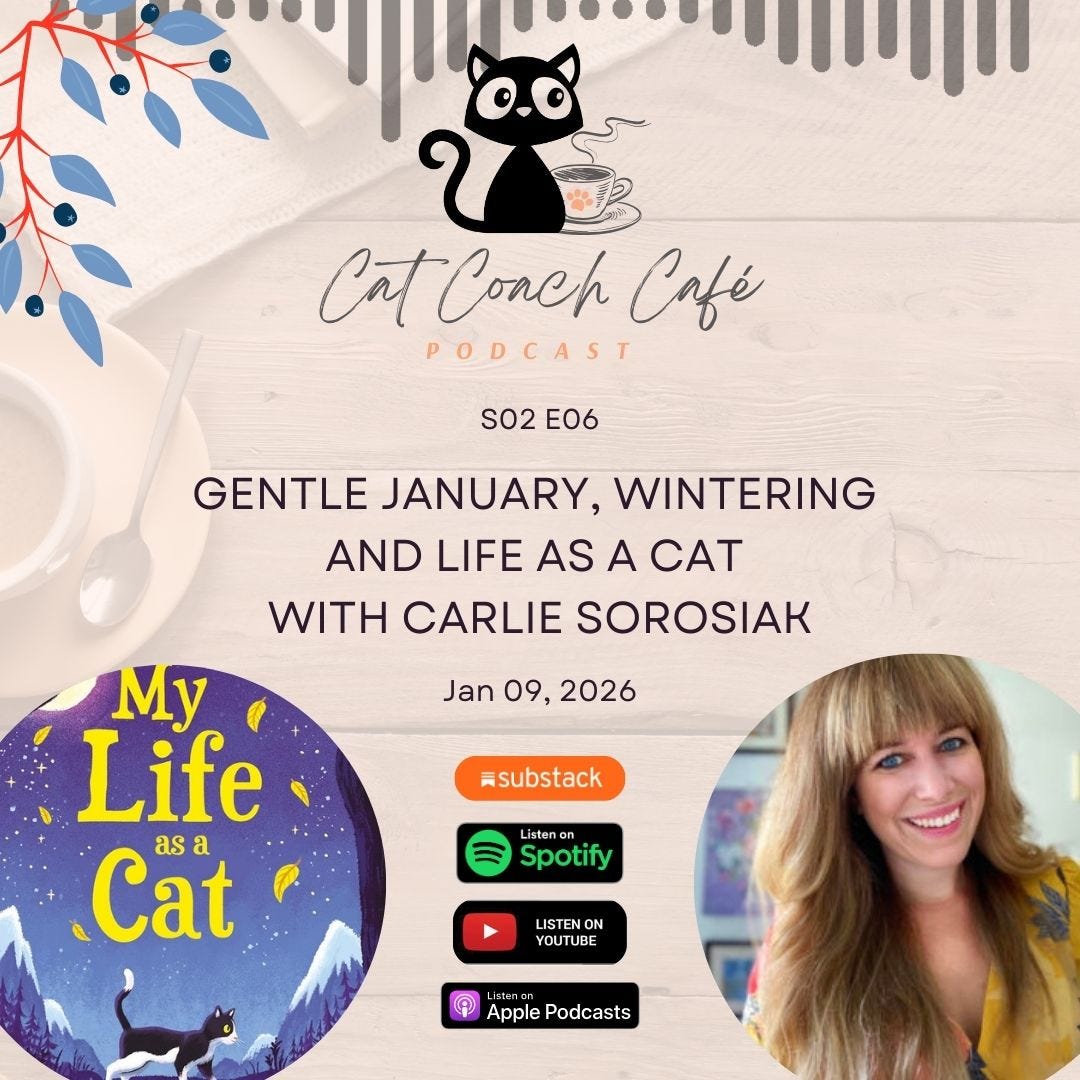 S02E06: Gentle January, Wintering & Life as a Cat with Carlie Sorosiak
