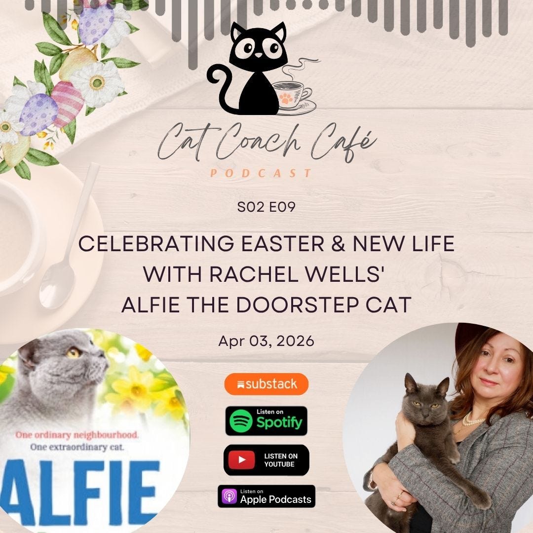 S02E09 Celebrating Easter & New Life with Rachel Wells’ Alfie the Doorstep Cat