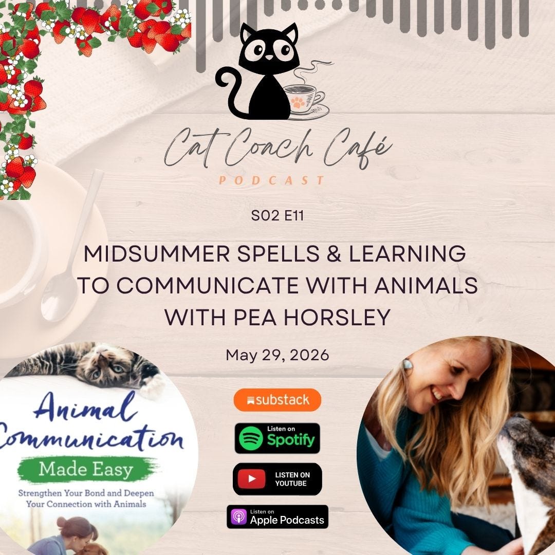 S02E11 Midsummer Spells & Learning to Communicate with Animals with Pea Horsley