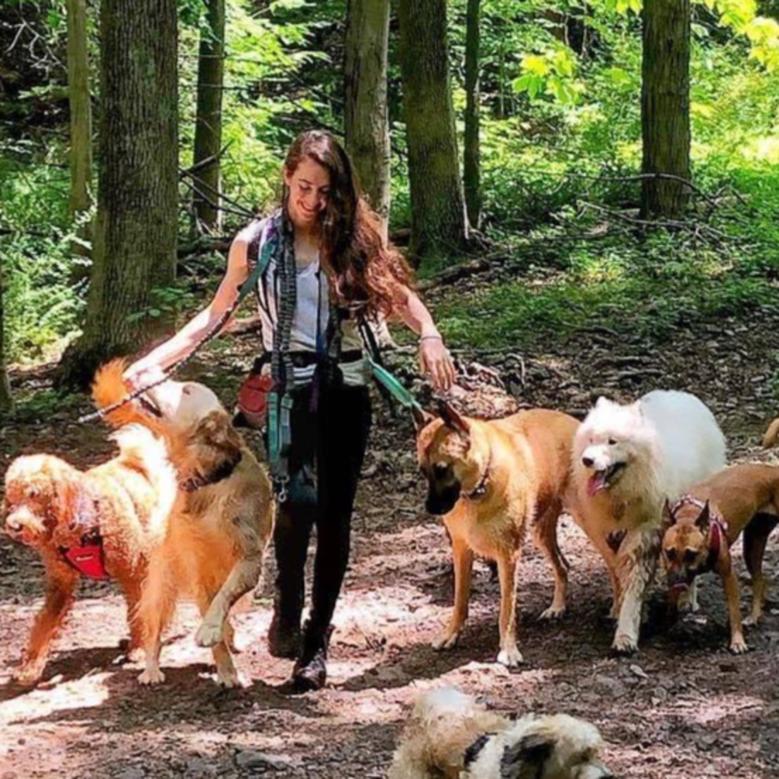 She hikes with dogs like it's her job because... IT IS! Meet Tamara Meyer, owner of NYC's Shape Up Your Pup