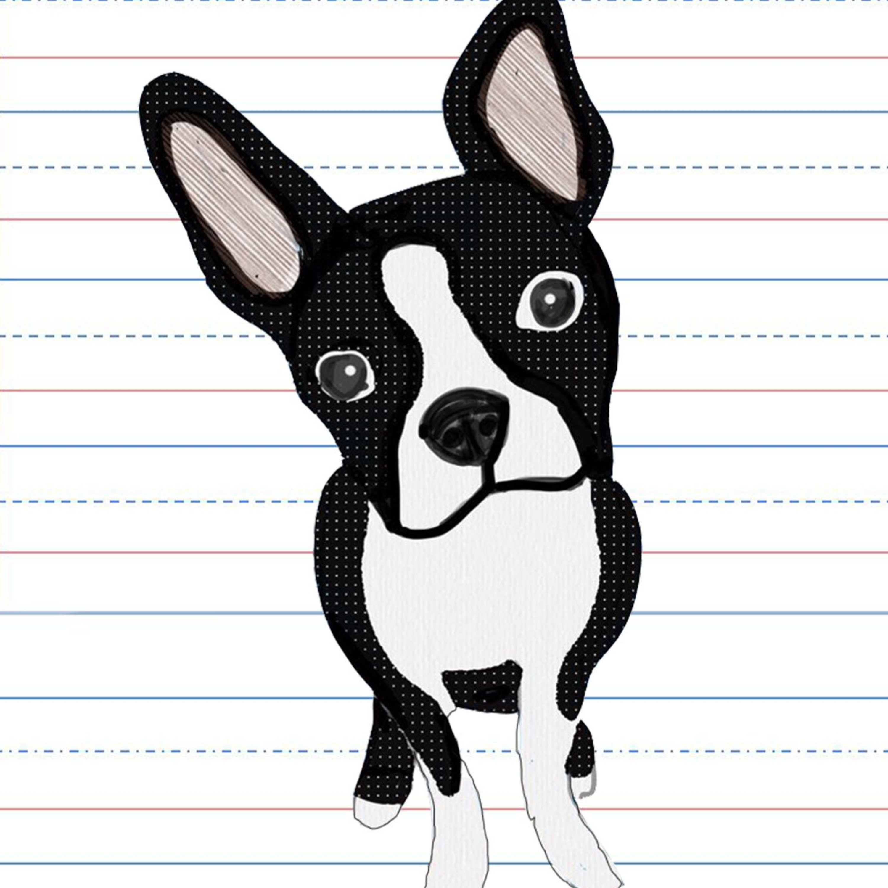 Cues & Commands: How We Communicate To Dogs What We Want From Them & Vice Versa