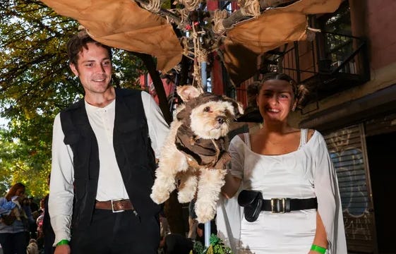 Dogmas & Dog Ewoks: How Halloween can polarize dog lovers