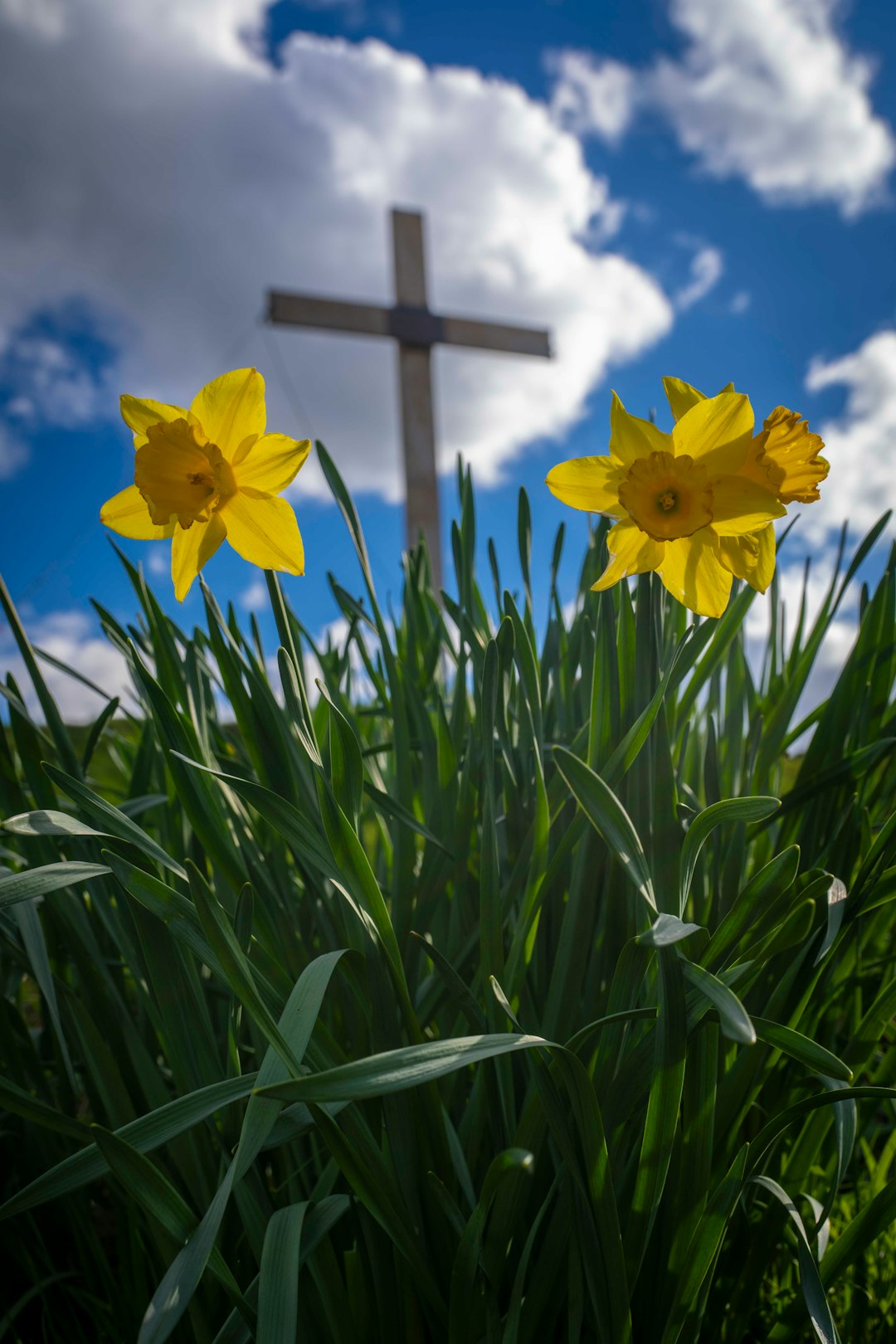 How Knowing Jesus Changes You