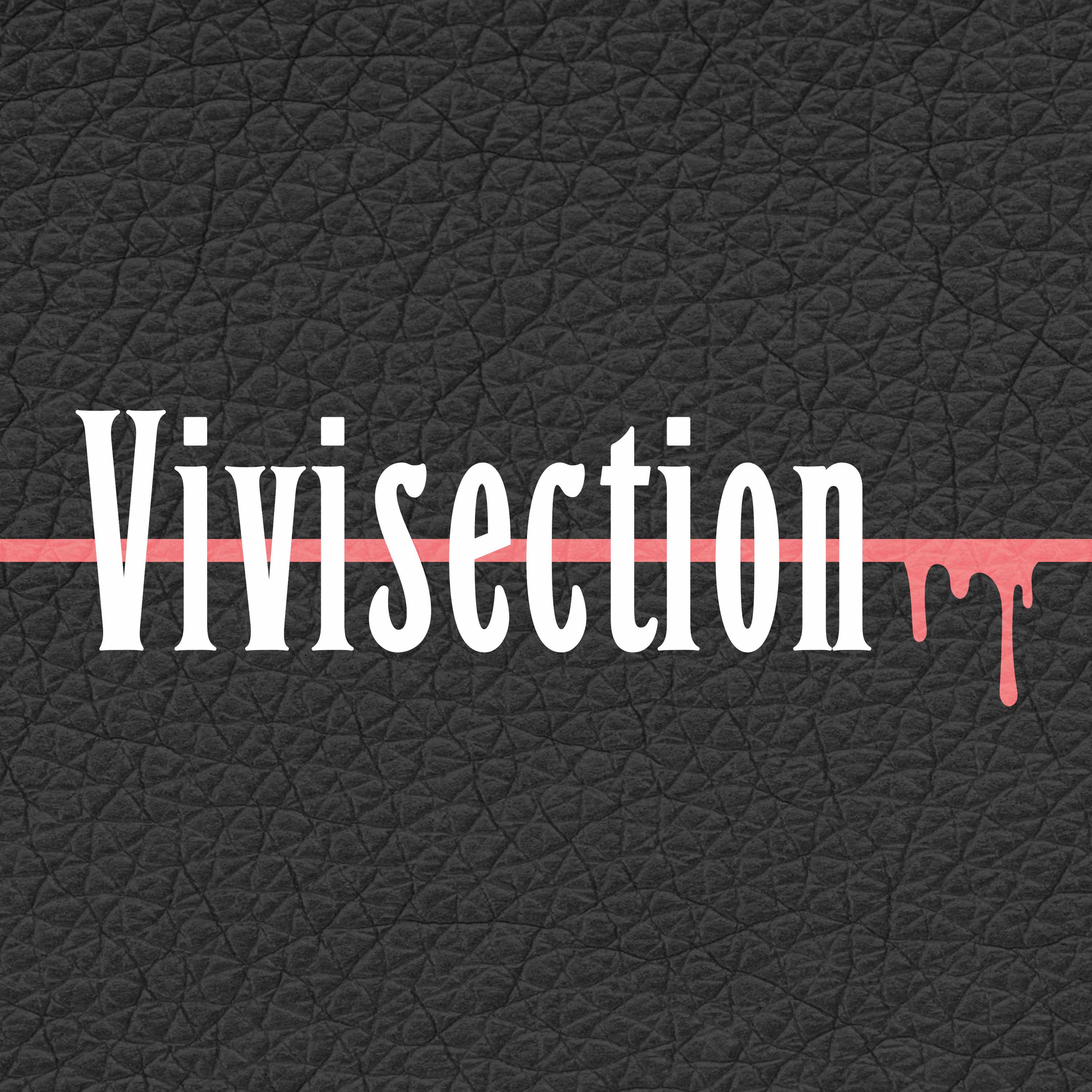 The MMA Vivisection & 6th Round Podcasts