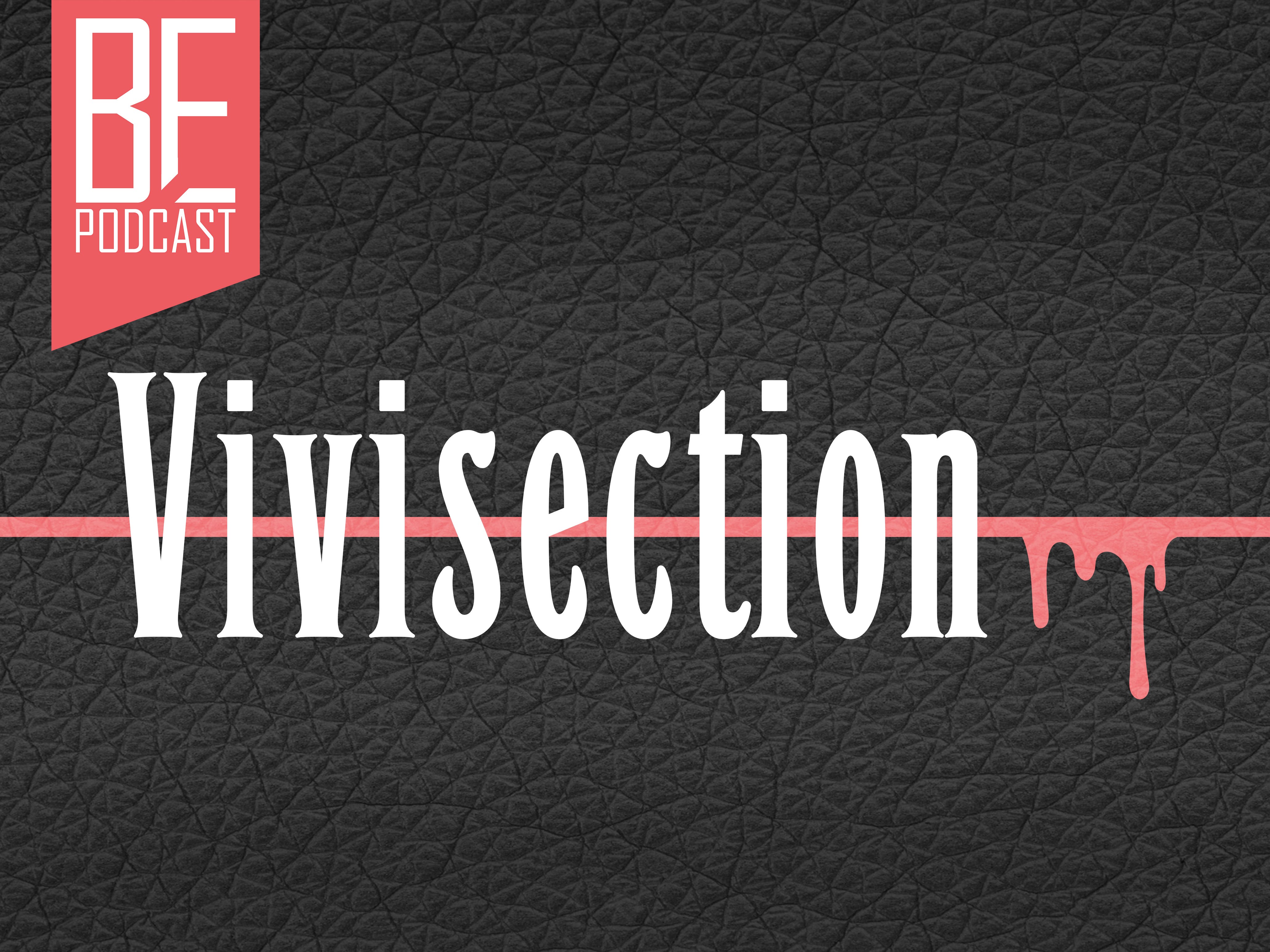 The MMA Vivisection Shows: \'Main Card Preview\' & \'Prelims Card Preview\'