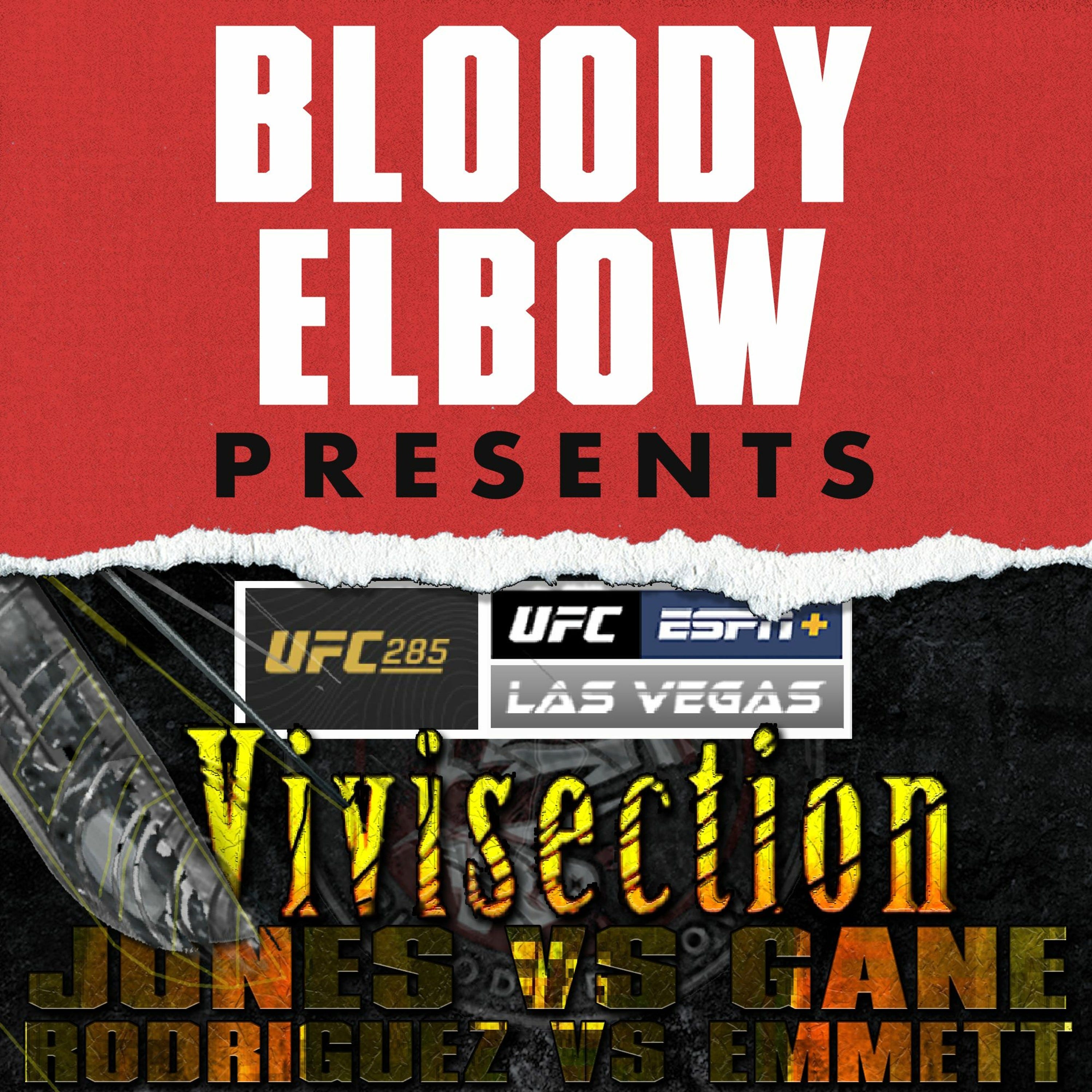 The MMA Vivisection & 6th Round Podcasts