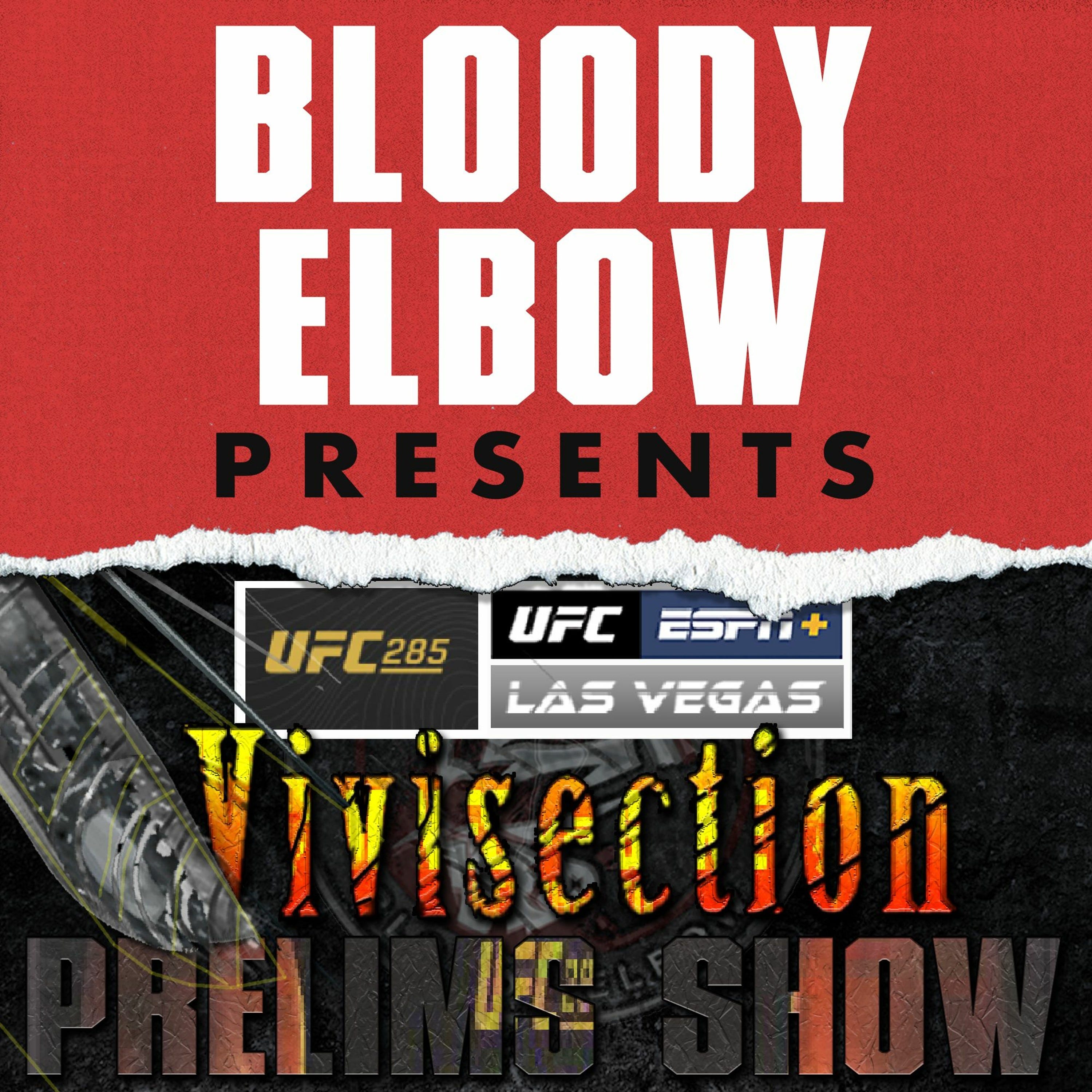 The MMA Vivisection & 6th Round Podcasts