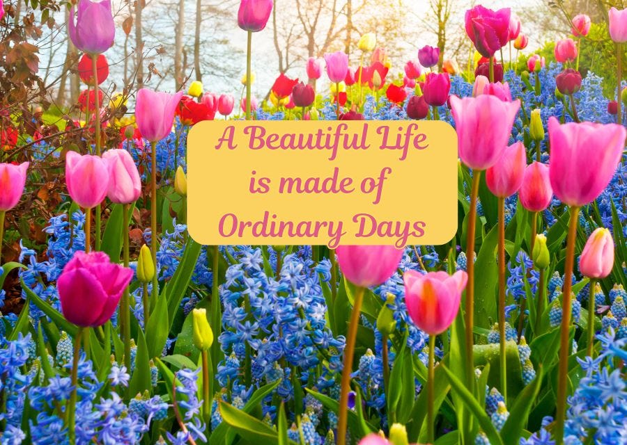 A Beautiful Life is Made up of Ordinary Days episode artwork