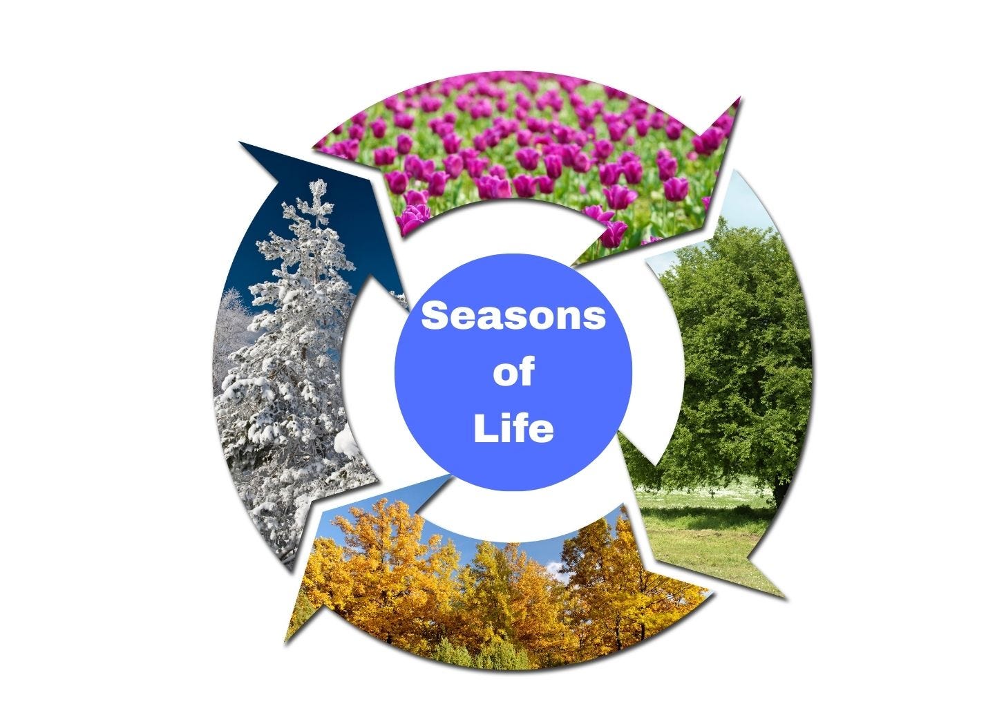 God Can Use You in Every Season of Life episode artwork