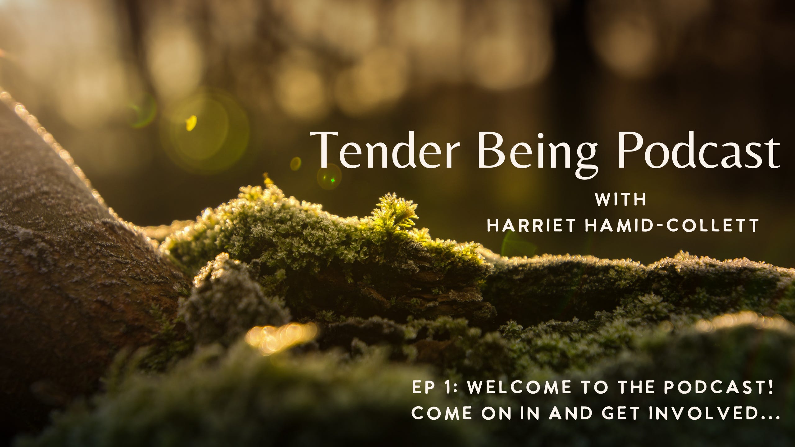 Tender Being with Harriet Hamid-Collett