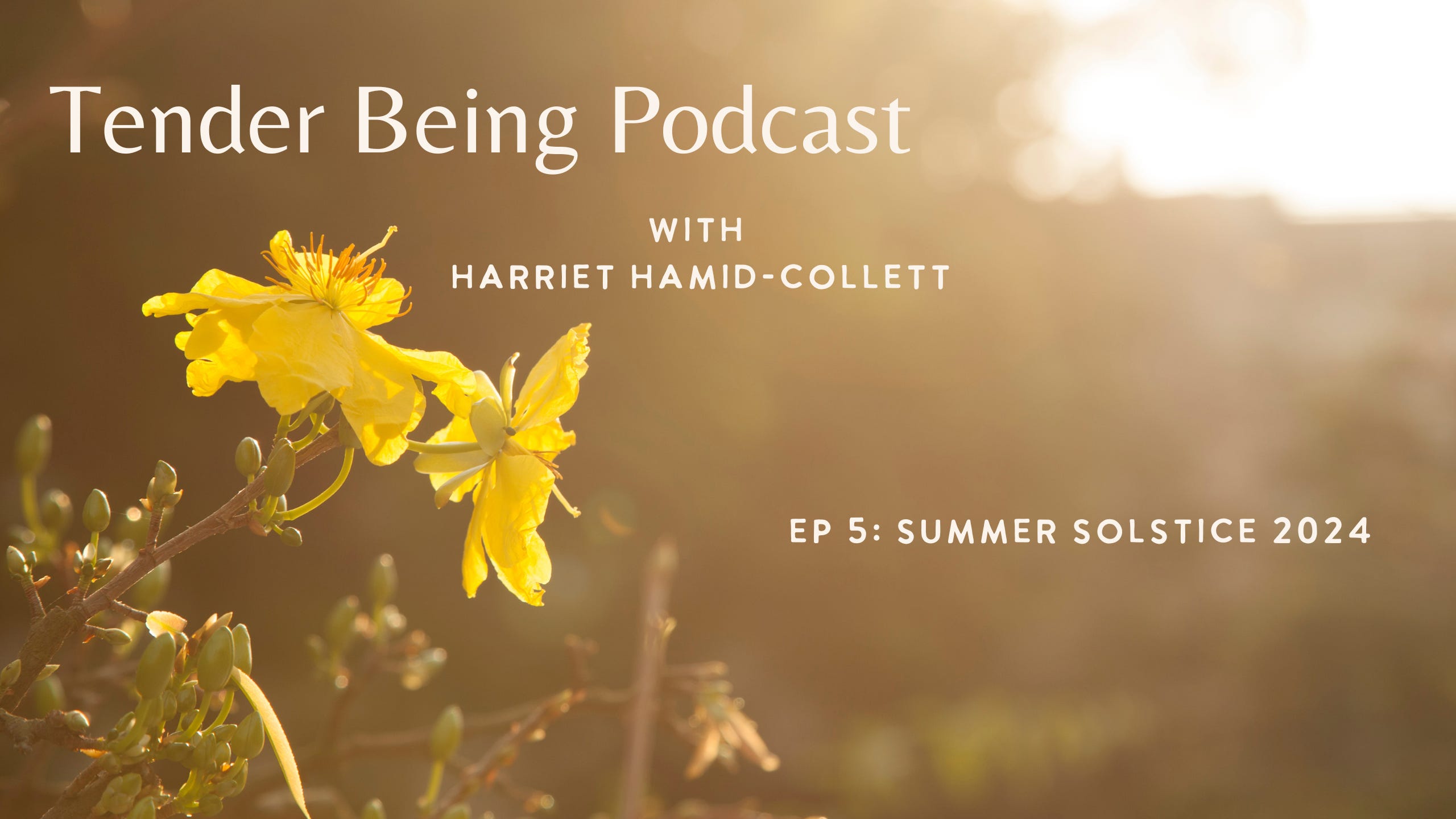 Tender Being with Harriet Hamid-Collett