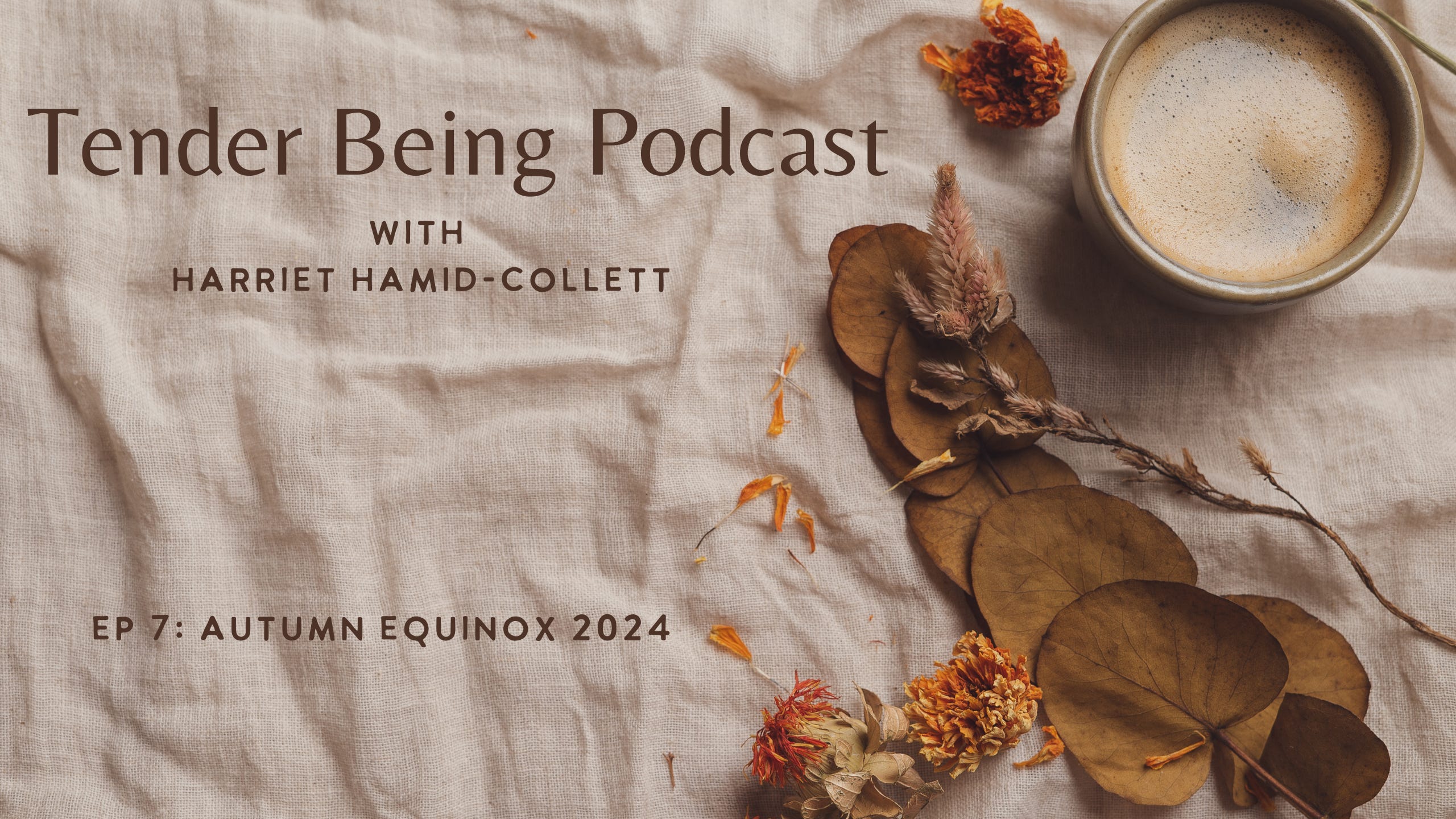 Tender Being with Harriet Hamid-Collett