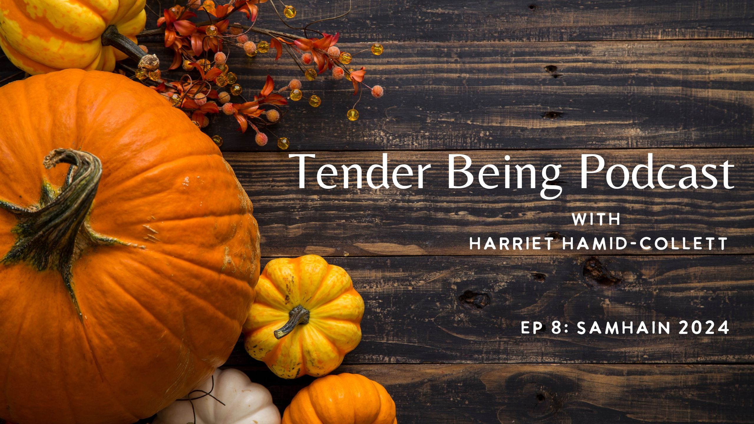 Tender Being with Harriet Hamid-Collett