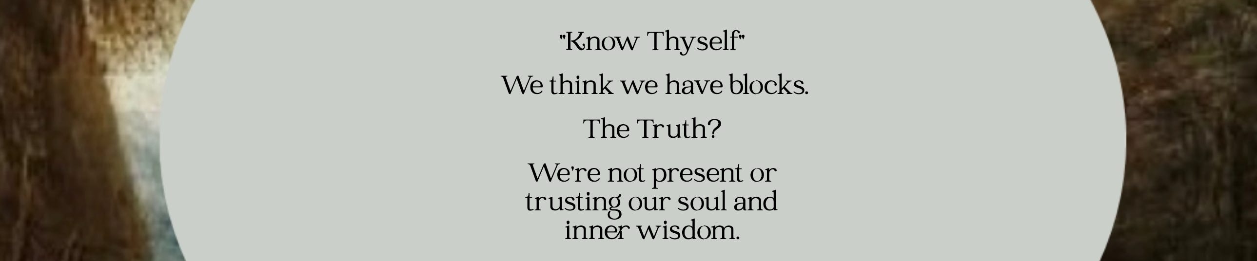 🎁 Last Chance: Close old chapters & Enter 2026 with The Light Between 🎁 Last Chance: Close old chapters & Enter 2026 with The Light Between