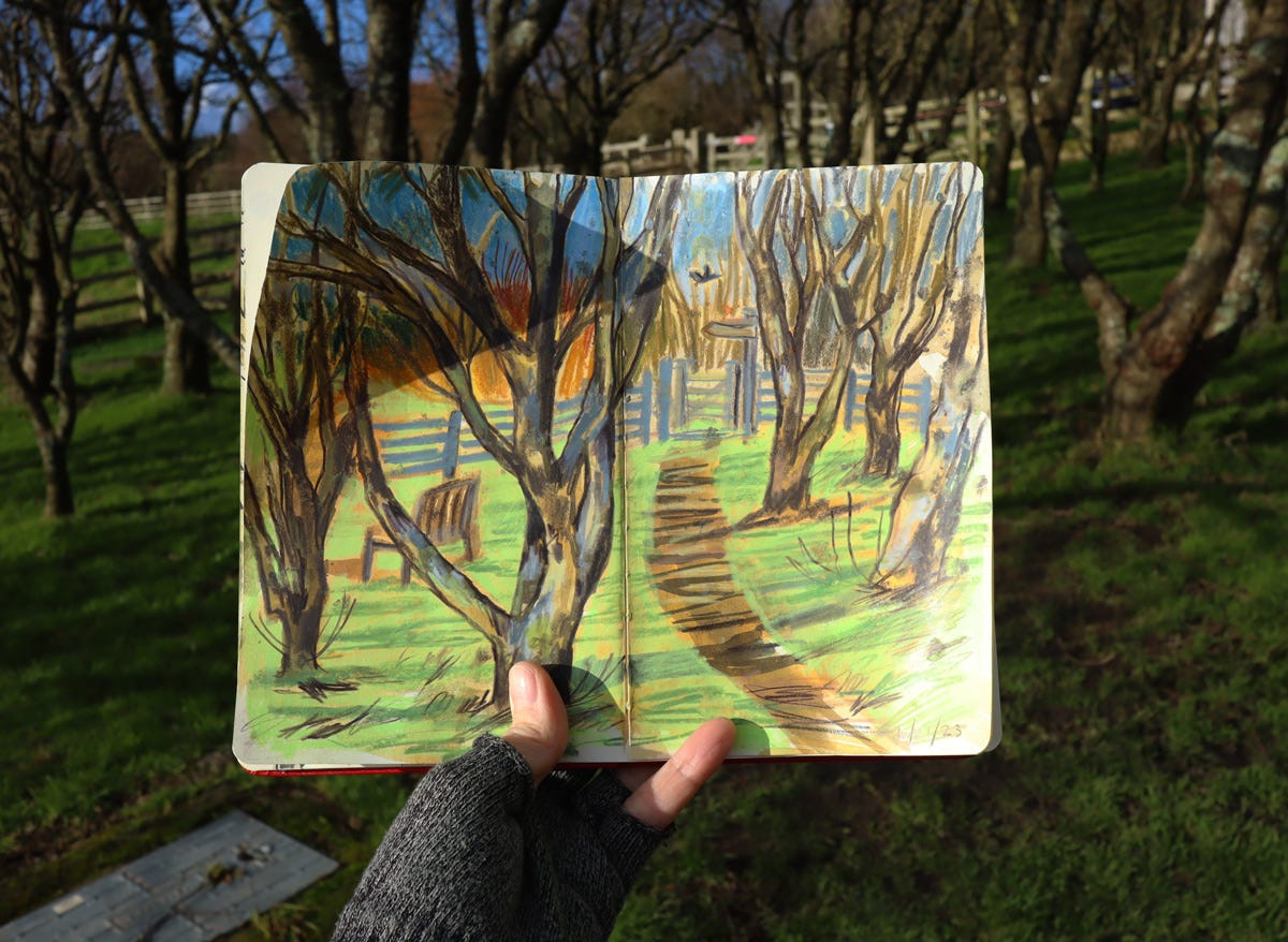 A carpet of shadows A carpet of shadows