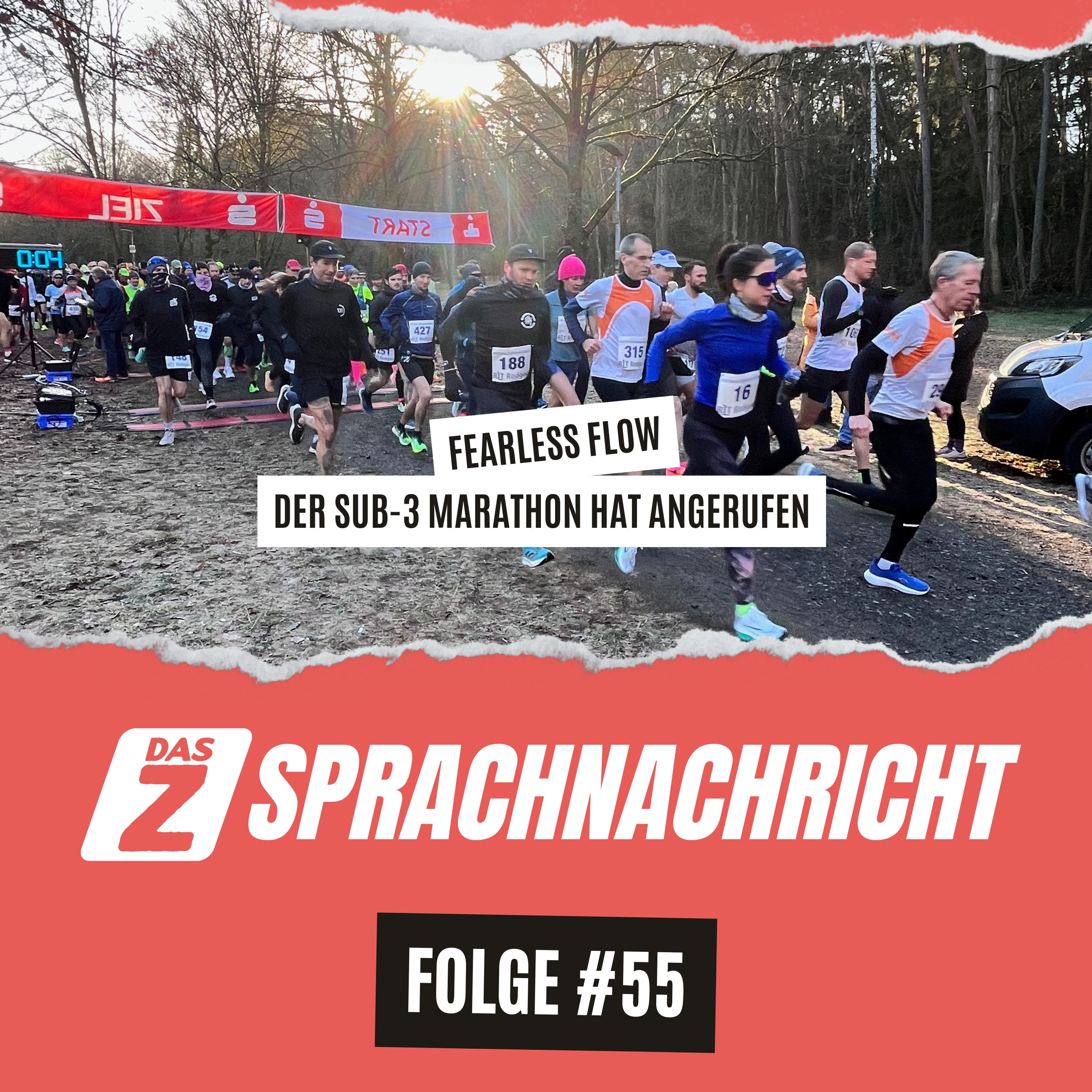 Das Z Sprachnachricht