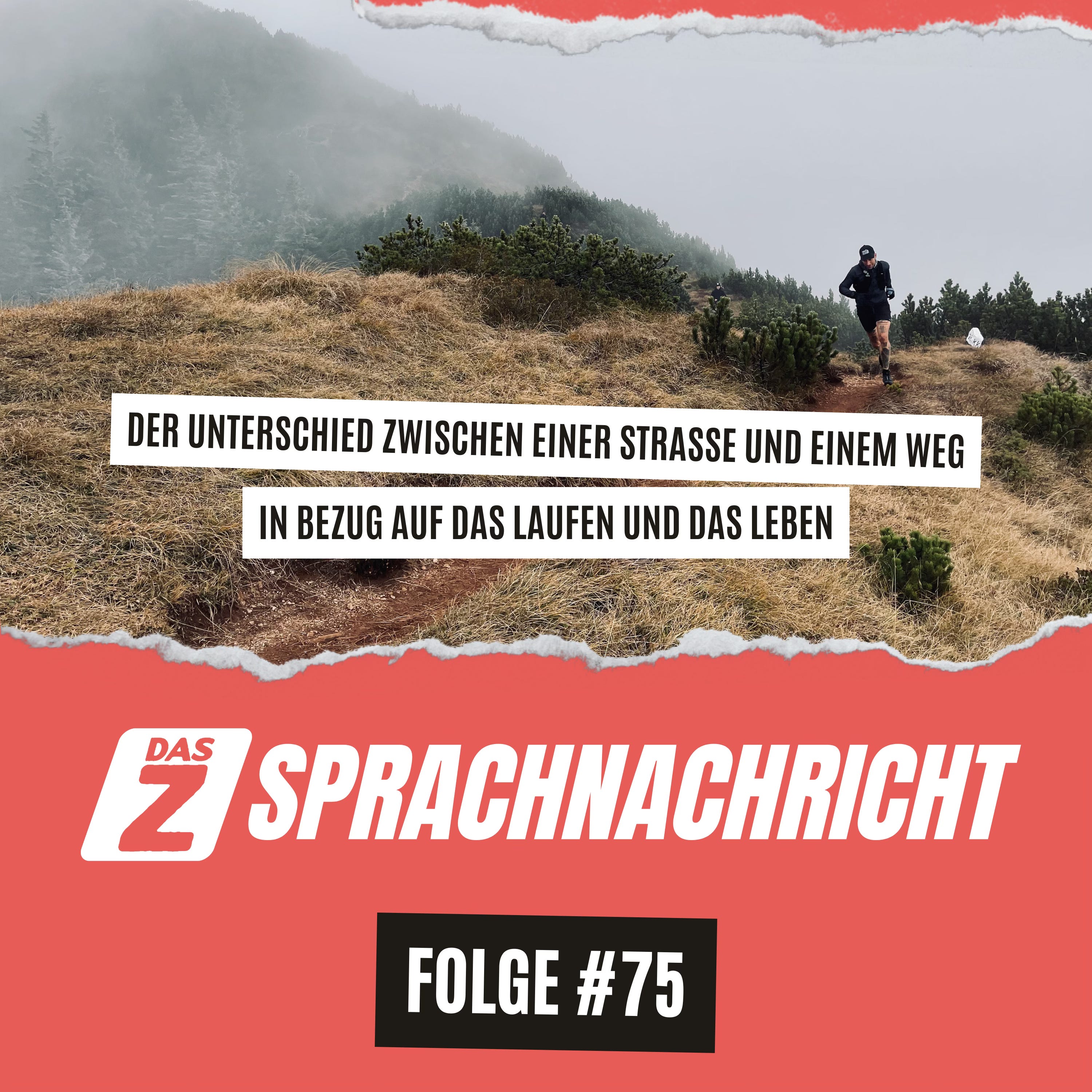 Das Z Sprachnachricht