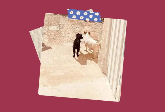 Stories for Breakfast - Ep. 17 - Cosmo e il vulcano