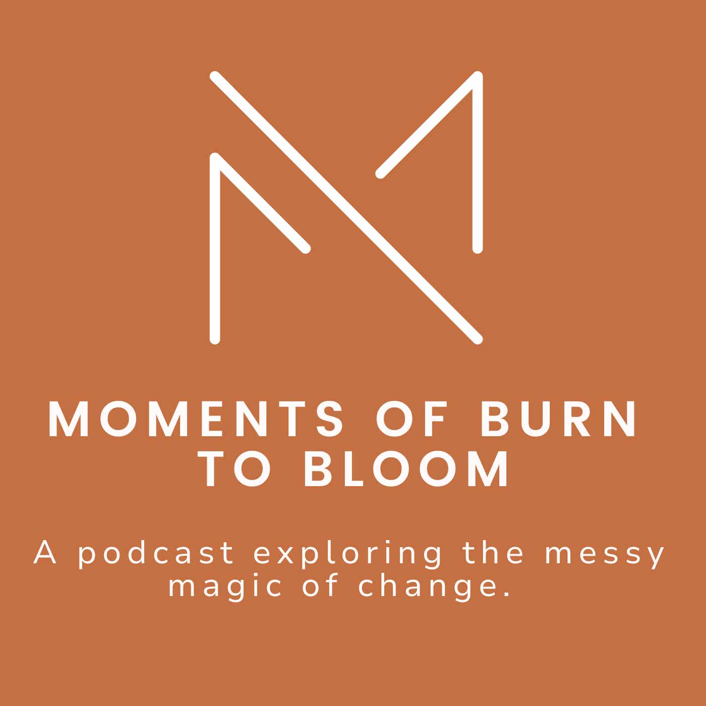 Moments of Burn to Bloom