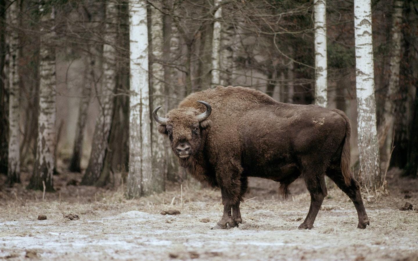 La Ferme Sauvage
