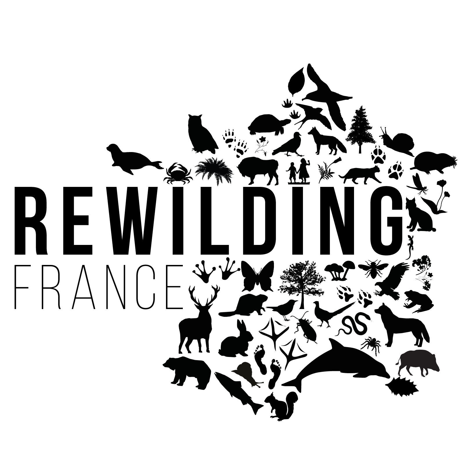 [Nouvelles du projet] Rewilding France 3/4