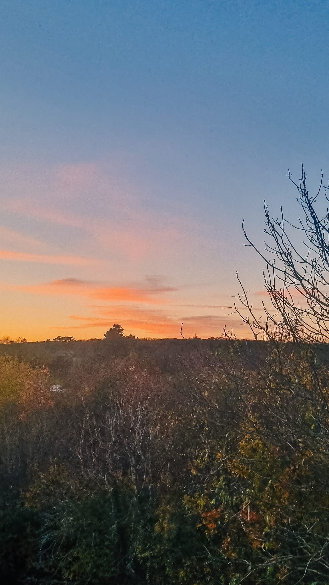 Why Spring is the Real New Year & Letting Go of Resolution Pressure