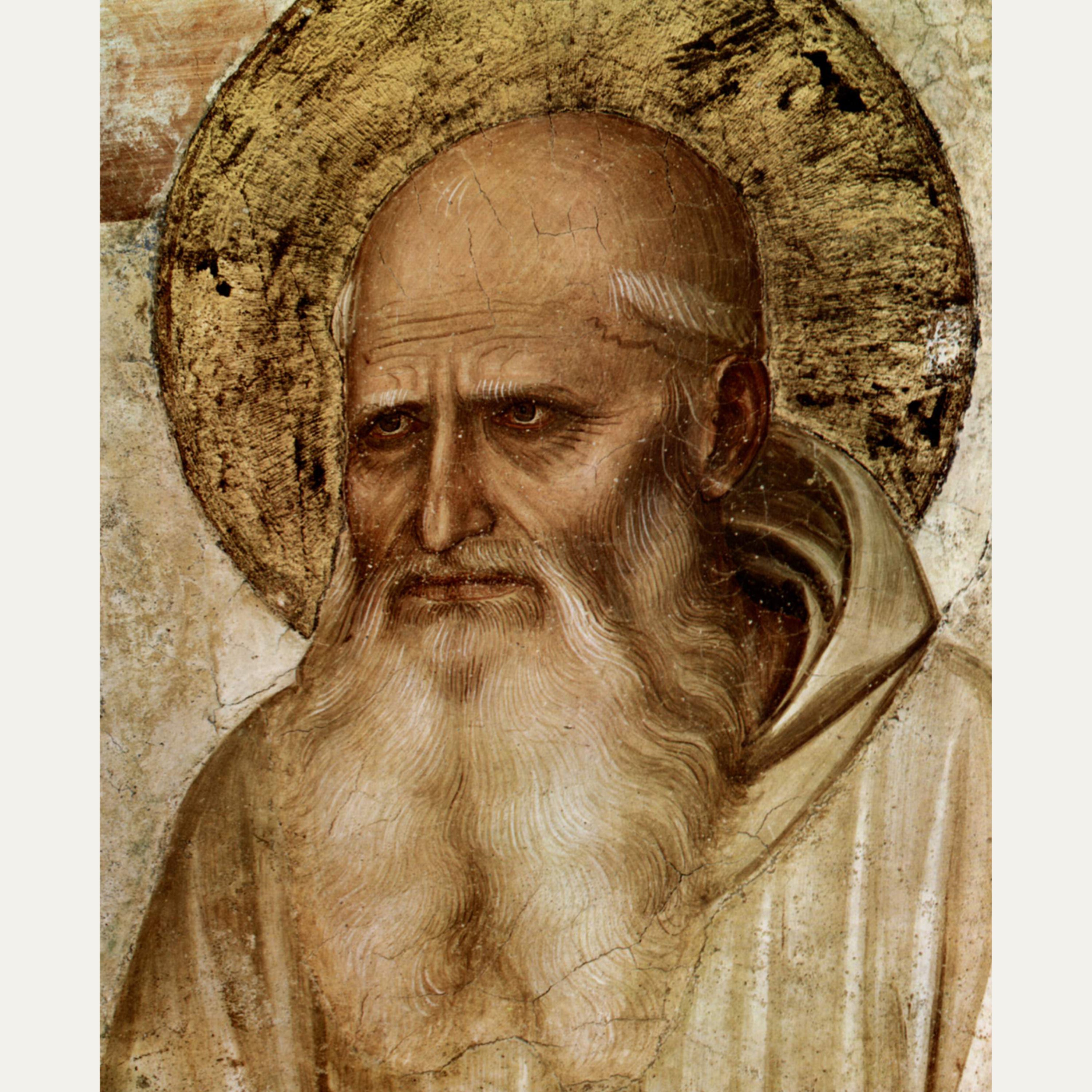 "Saint Romuald and the Domestic Church" episode artwork