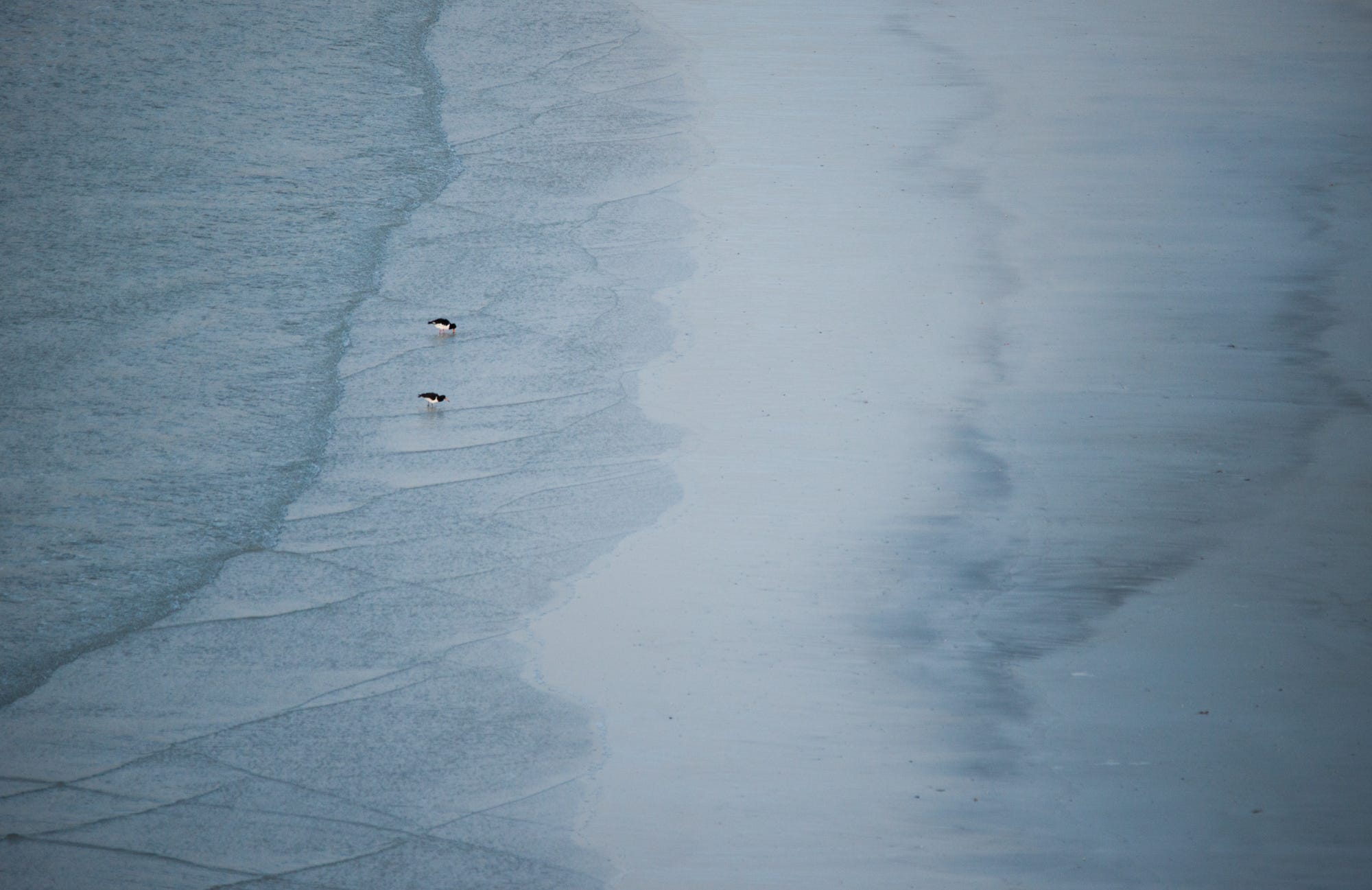 Navigating Life's Challenges with Creativity and Kindness