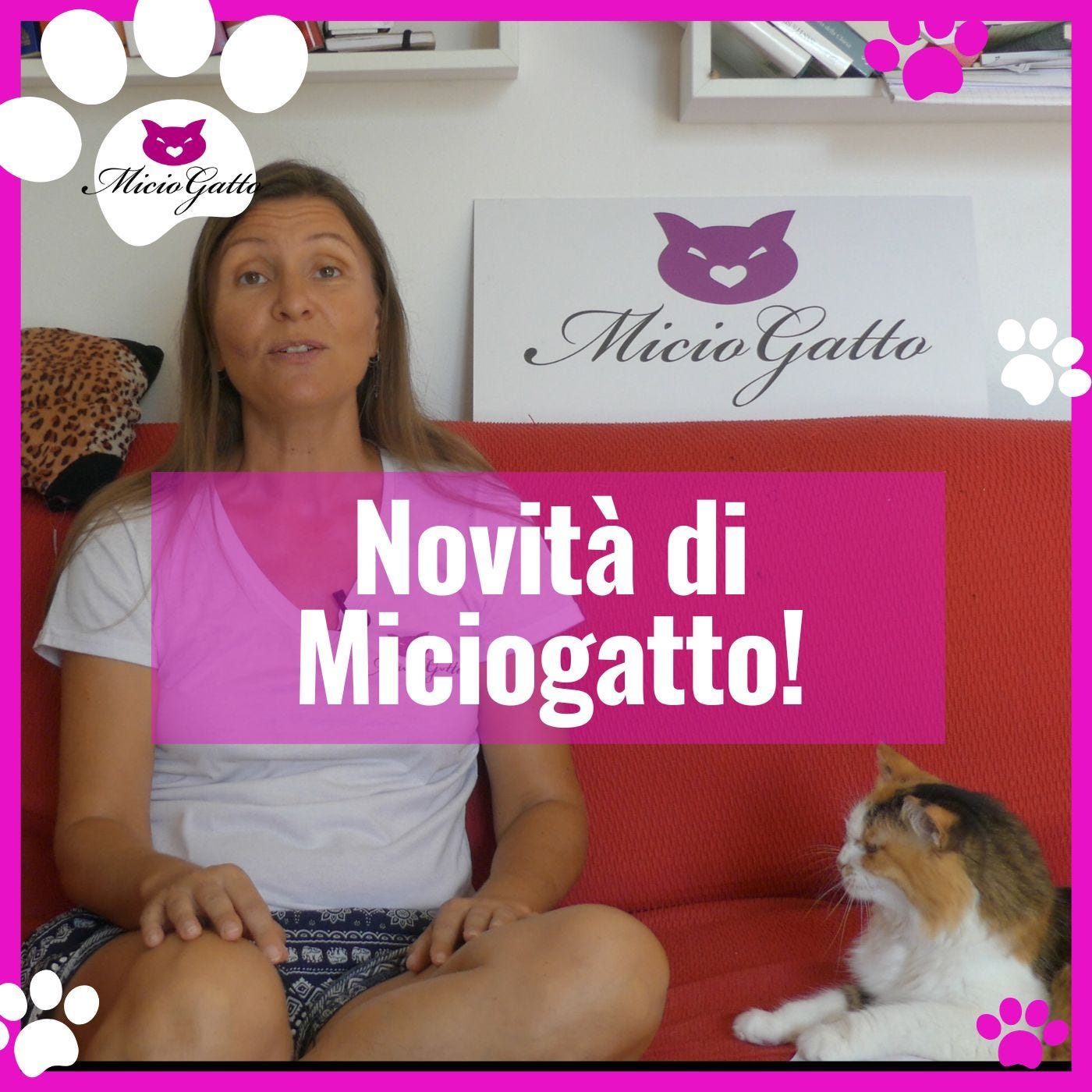 Finalmente un nuovo episodio! Le novità di MicioGatto per il 2023