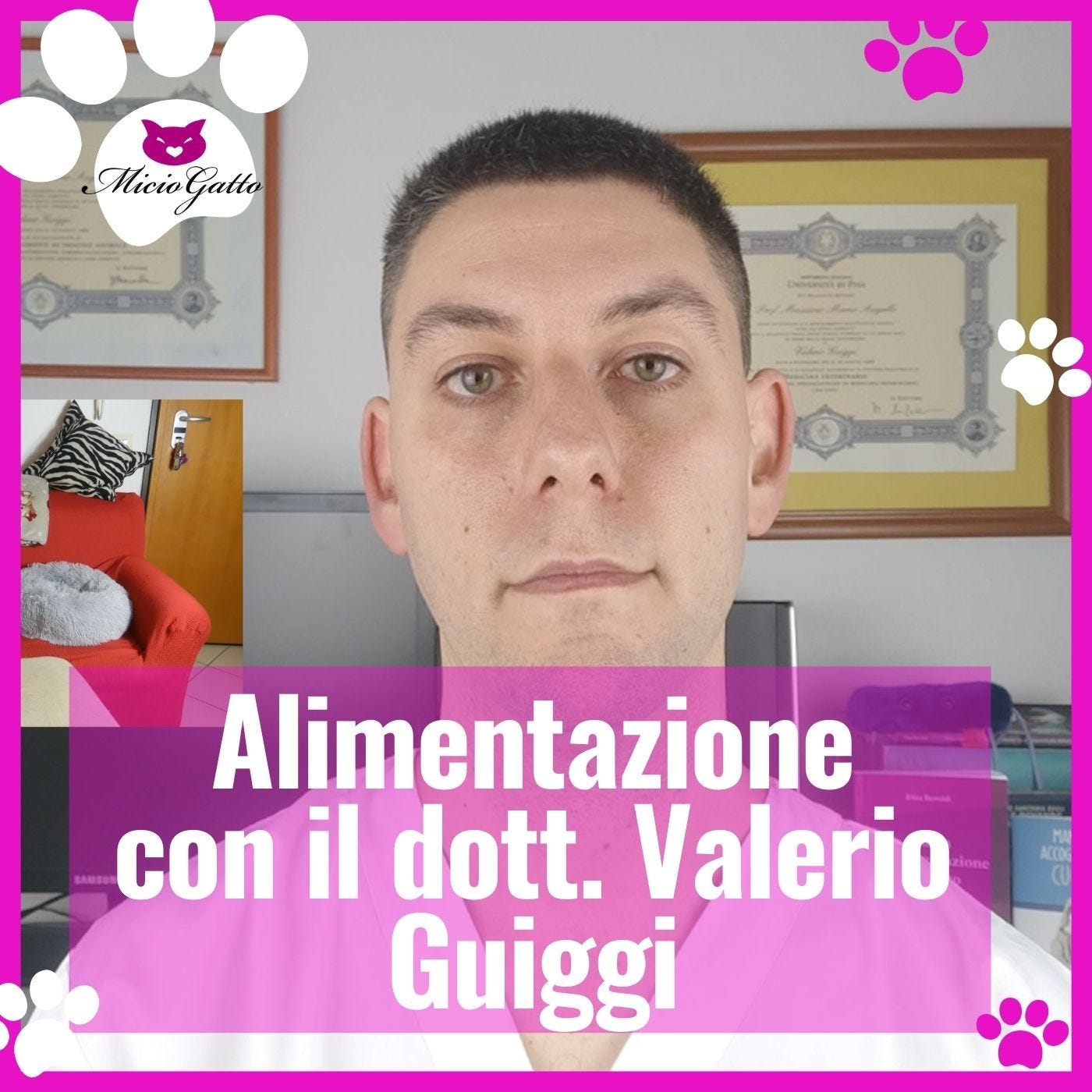 Intervista al dott. Valerio Guiggi esperto in alimentazione del gatto