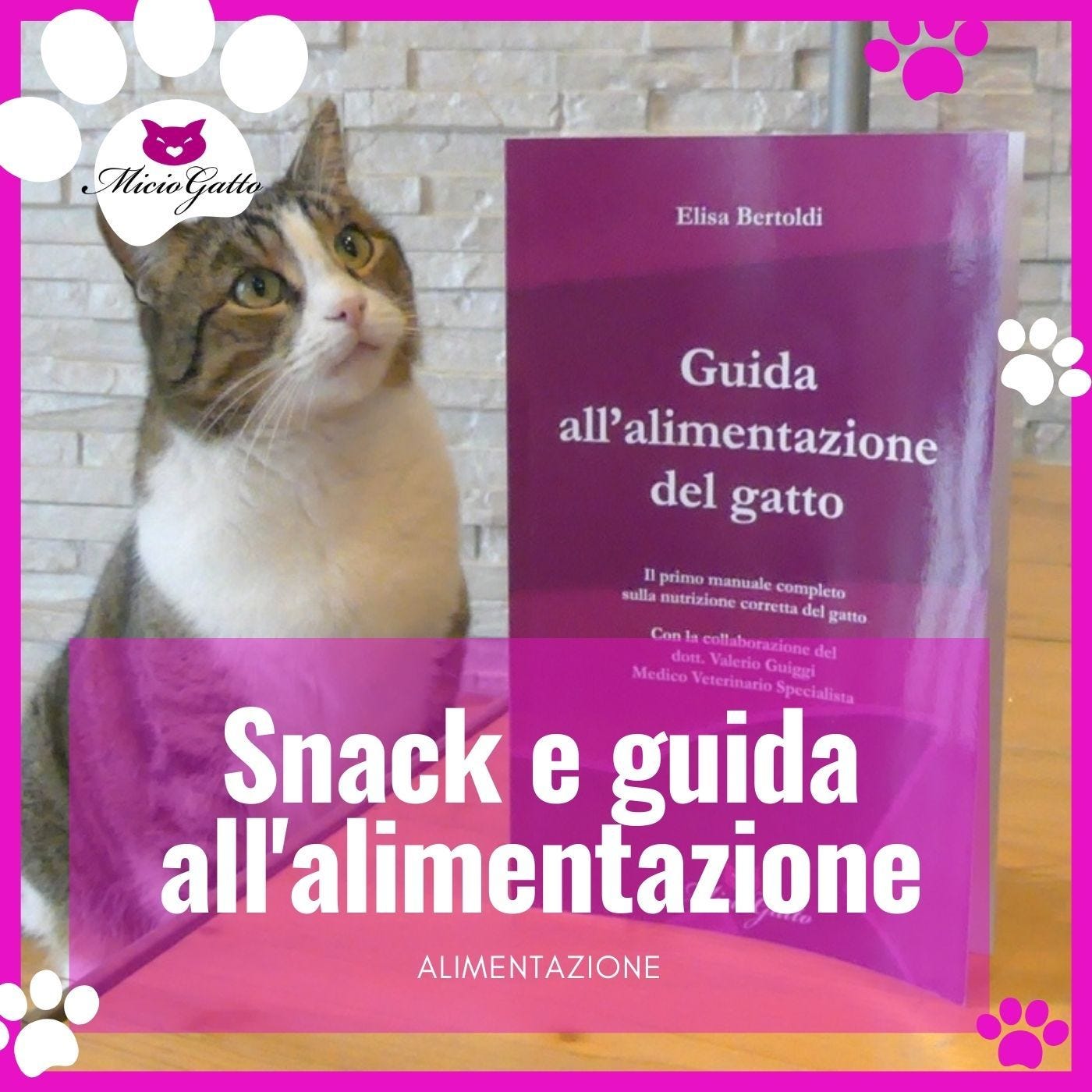 Snack per gatti e Guida all'alimentazione del gatto!