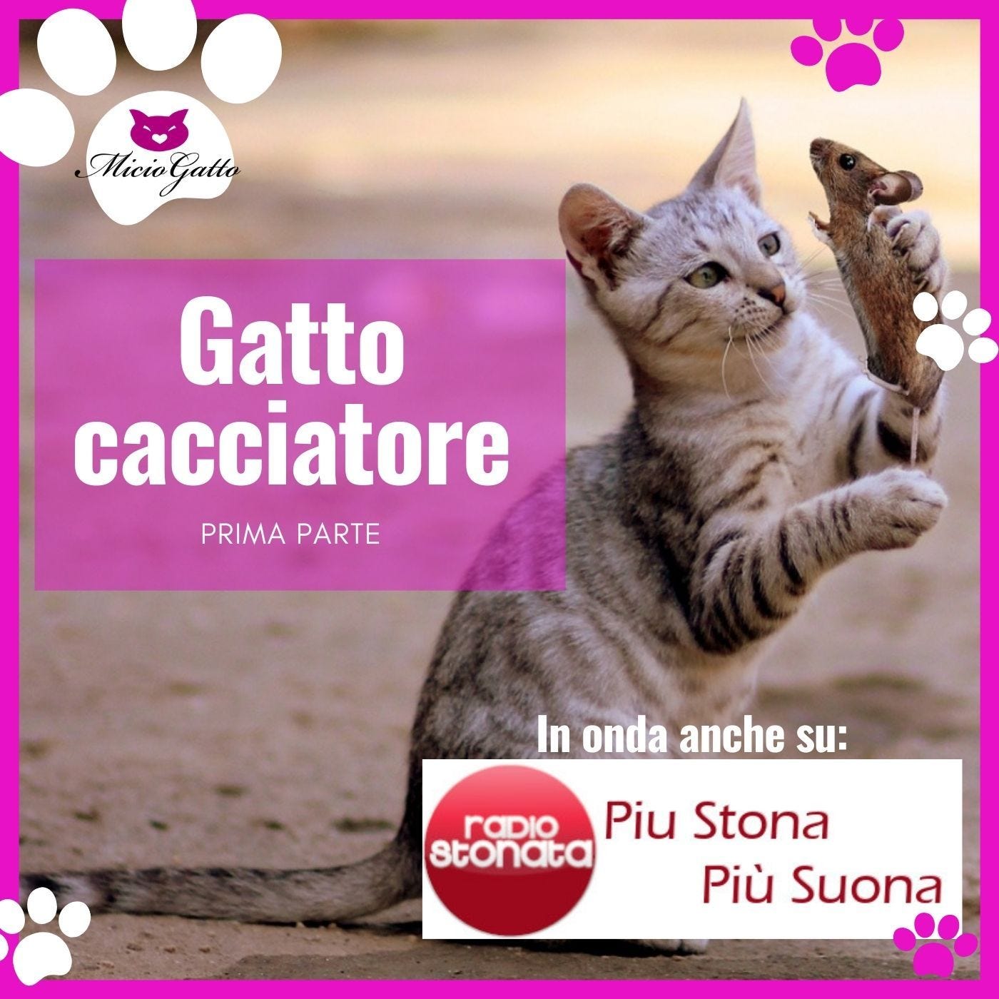 Gatto cacciatore: come e perché lo fa - Prima parte - su Radio Stonata