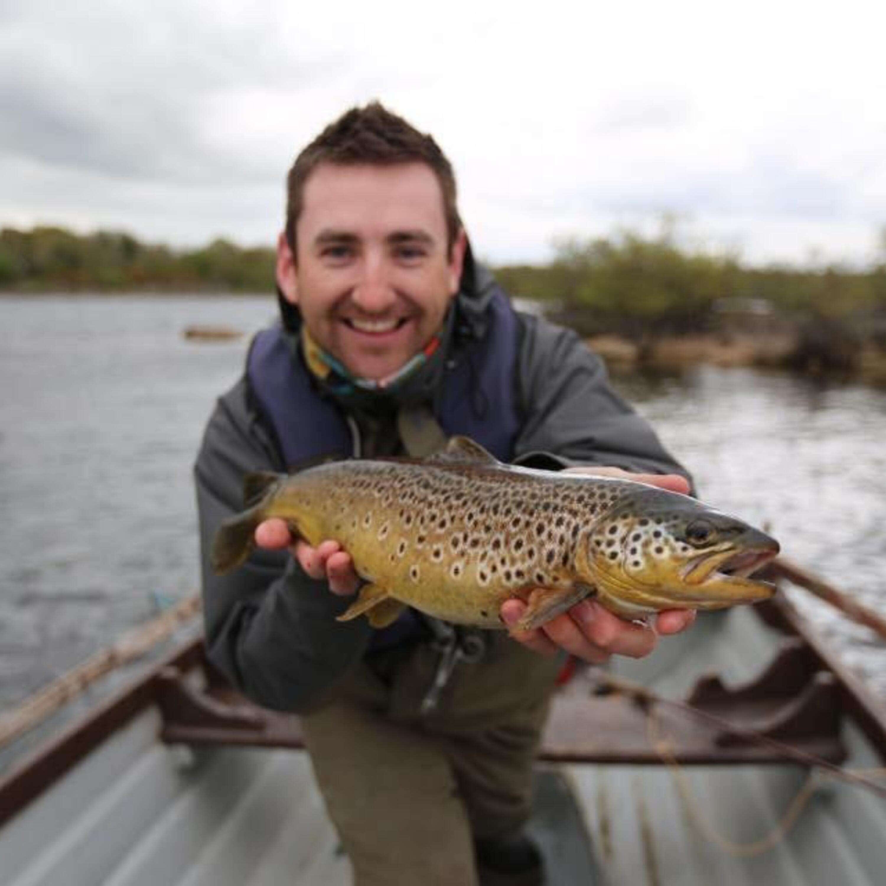 Ireland on the Fly