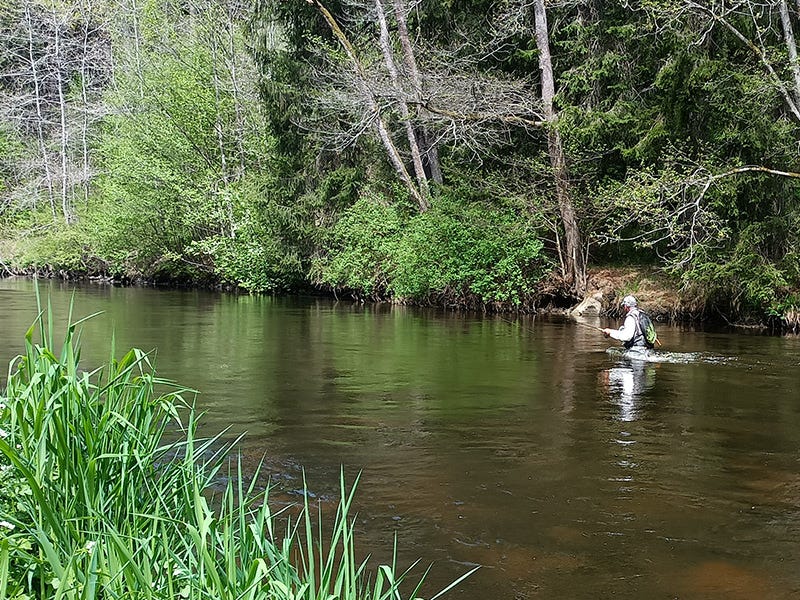 Ireland at the World Fly Fishing Championships