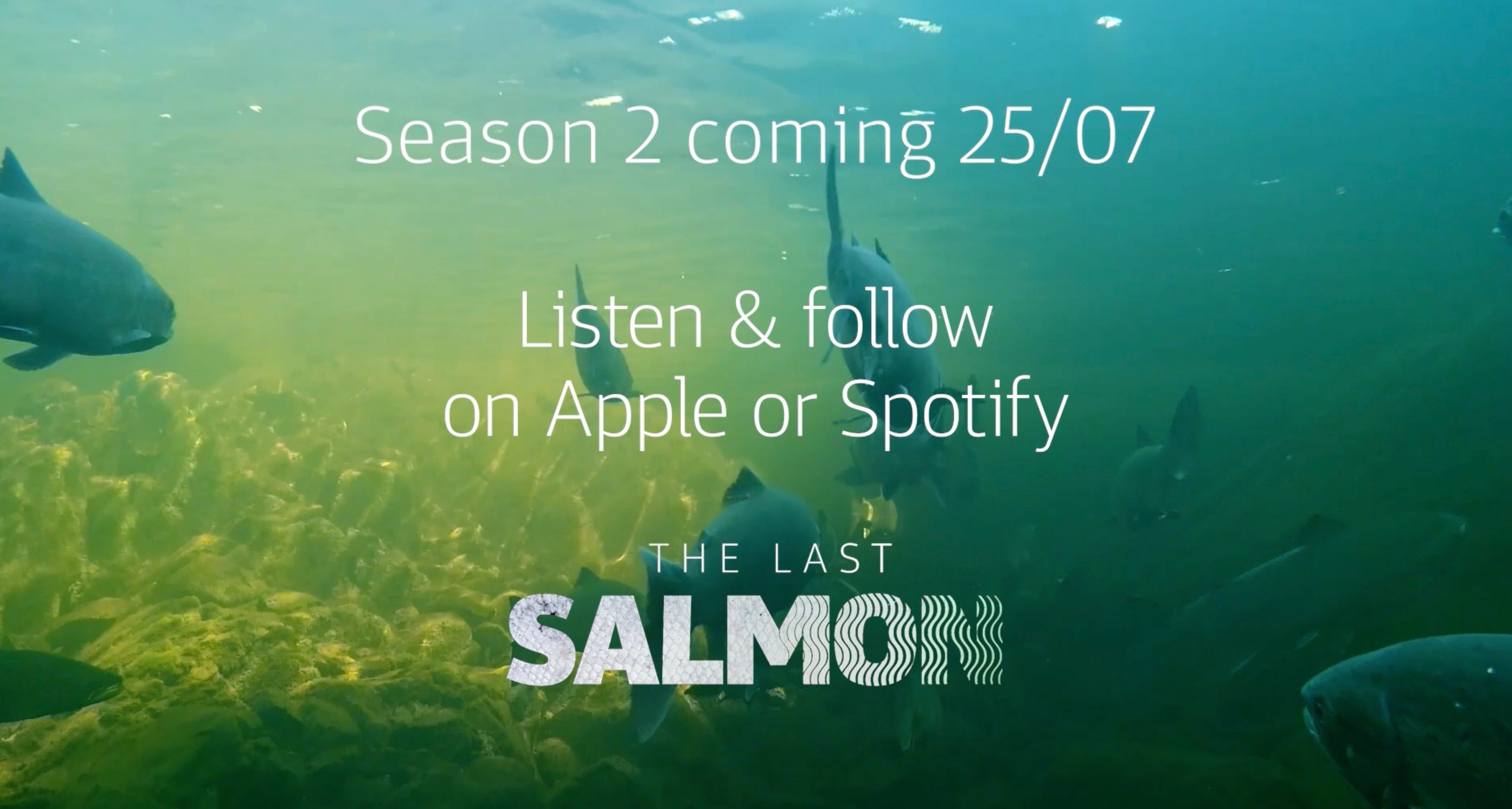 The Last Salmon: Season 2 Launching July 25th