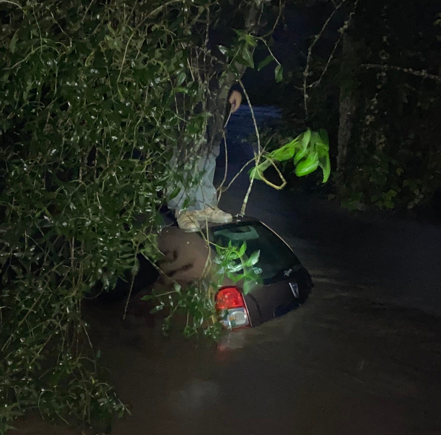 Off-grid and Ignorant in Portugal